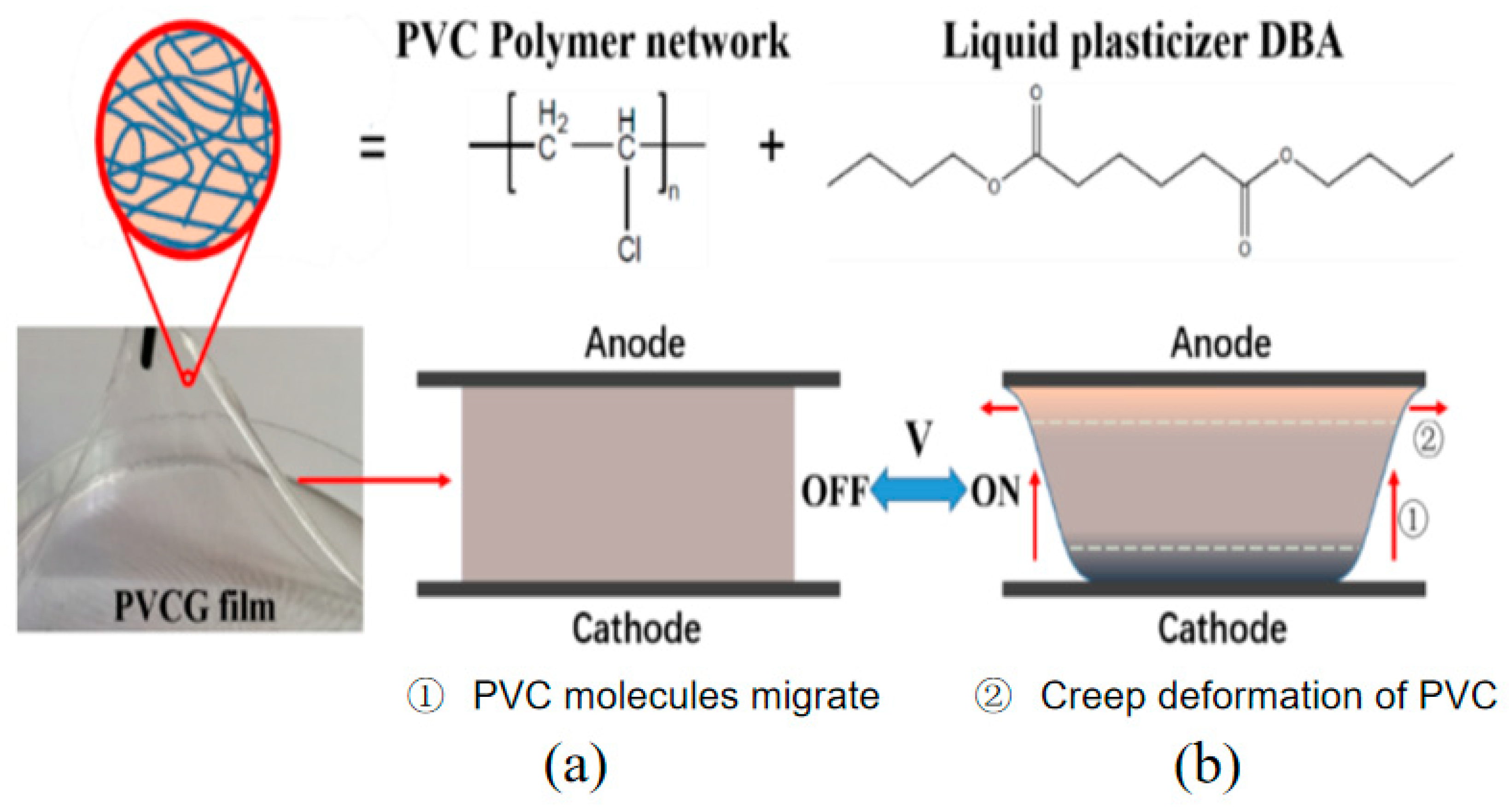 Polymers 13 02734 g001