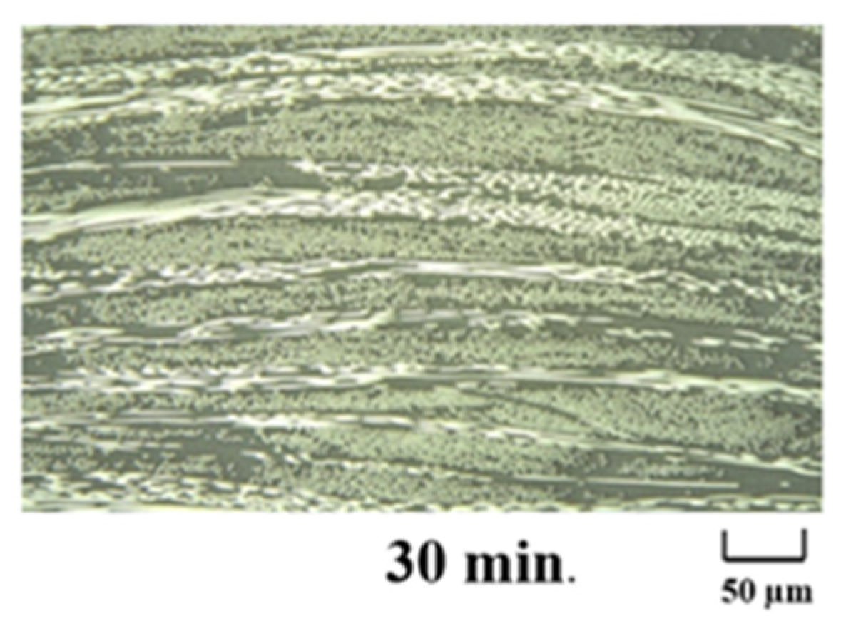 Polymers 13 03206 g014