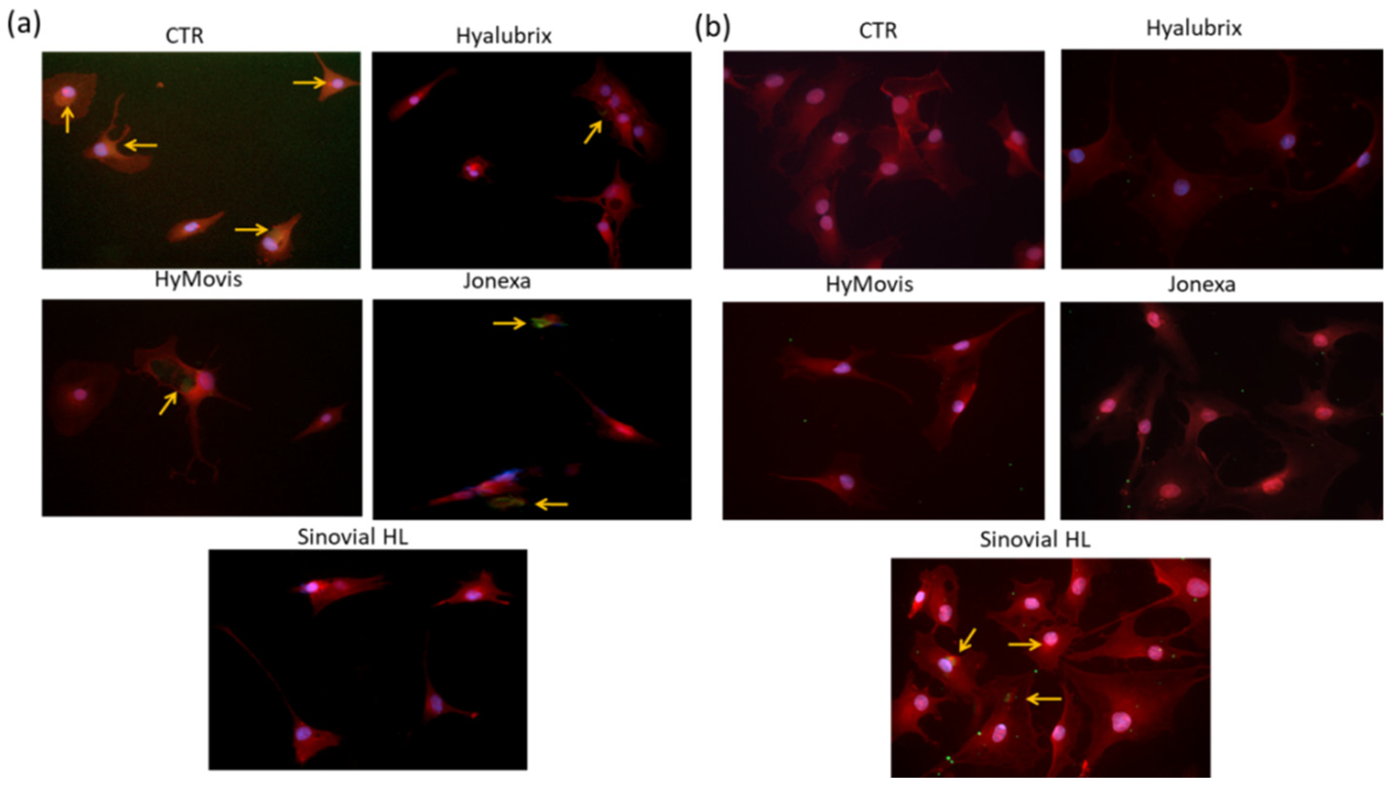Polymers 13 03208 g007