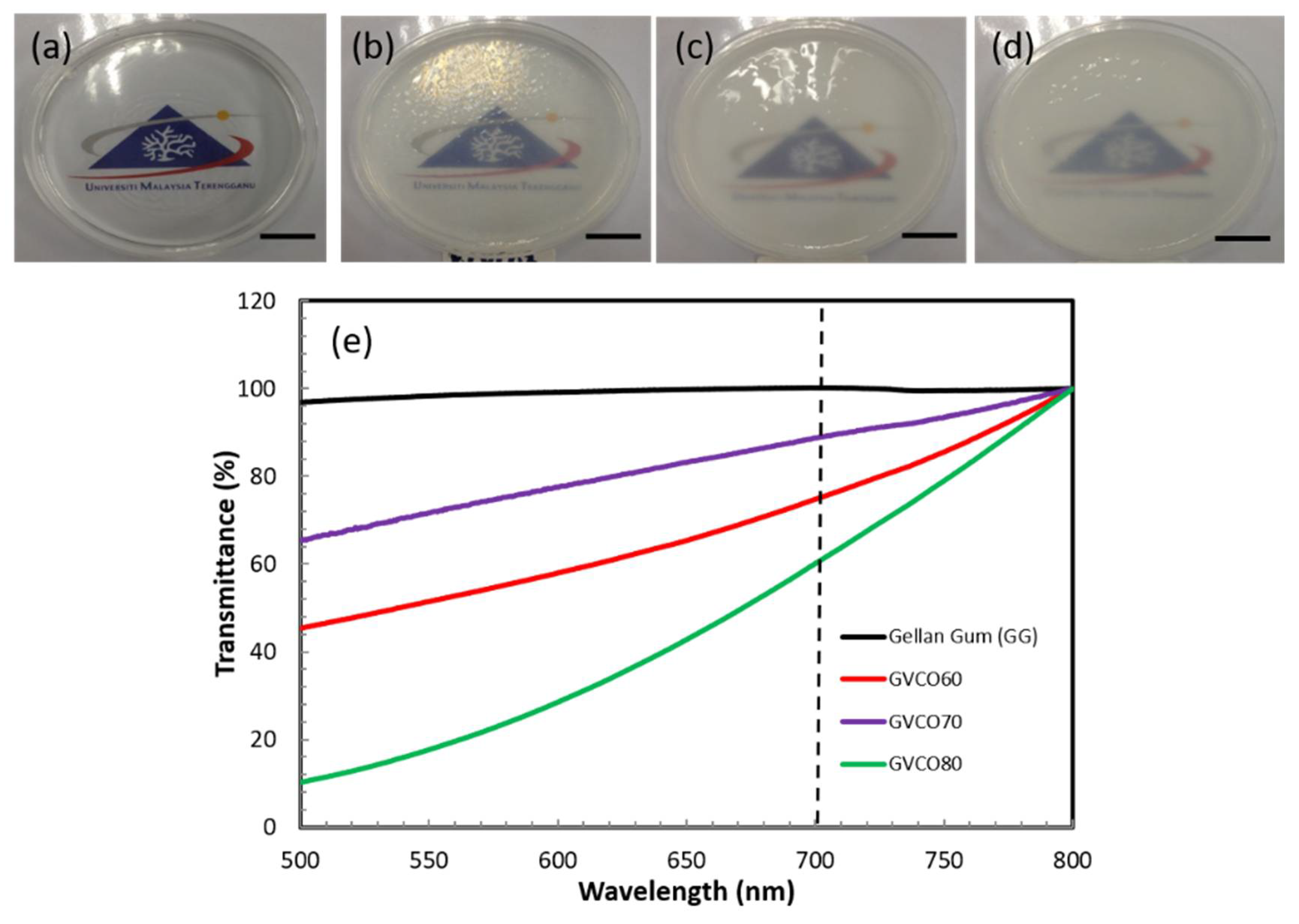 Polymers 13 03281 g002
