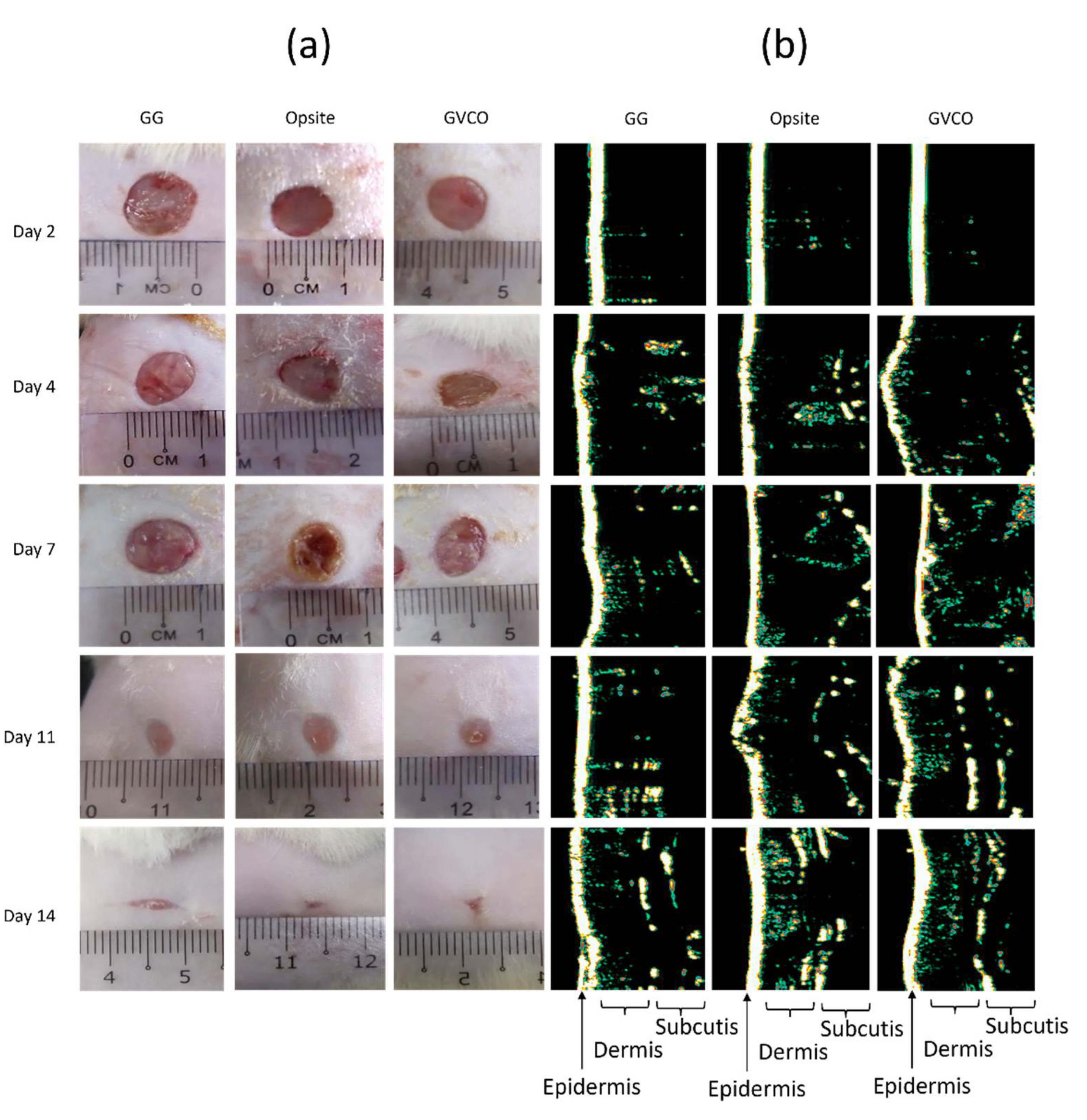 Polymers 13 03281 g007