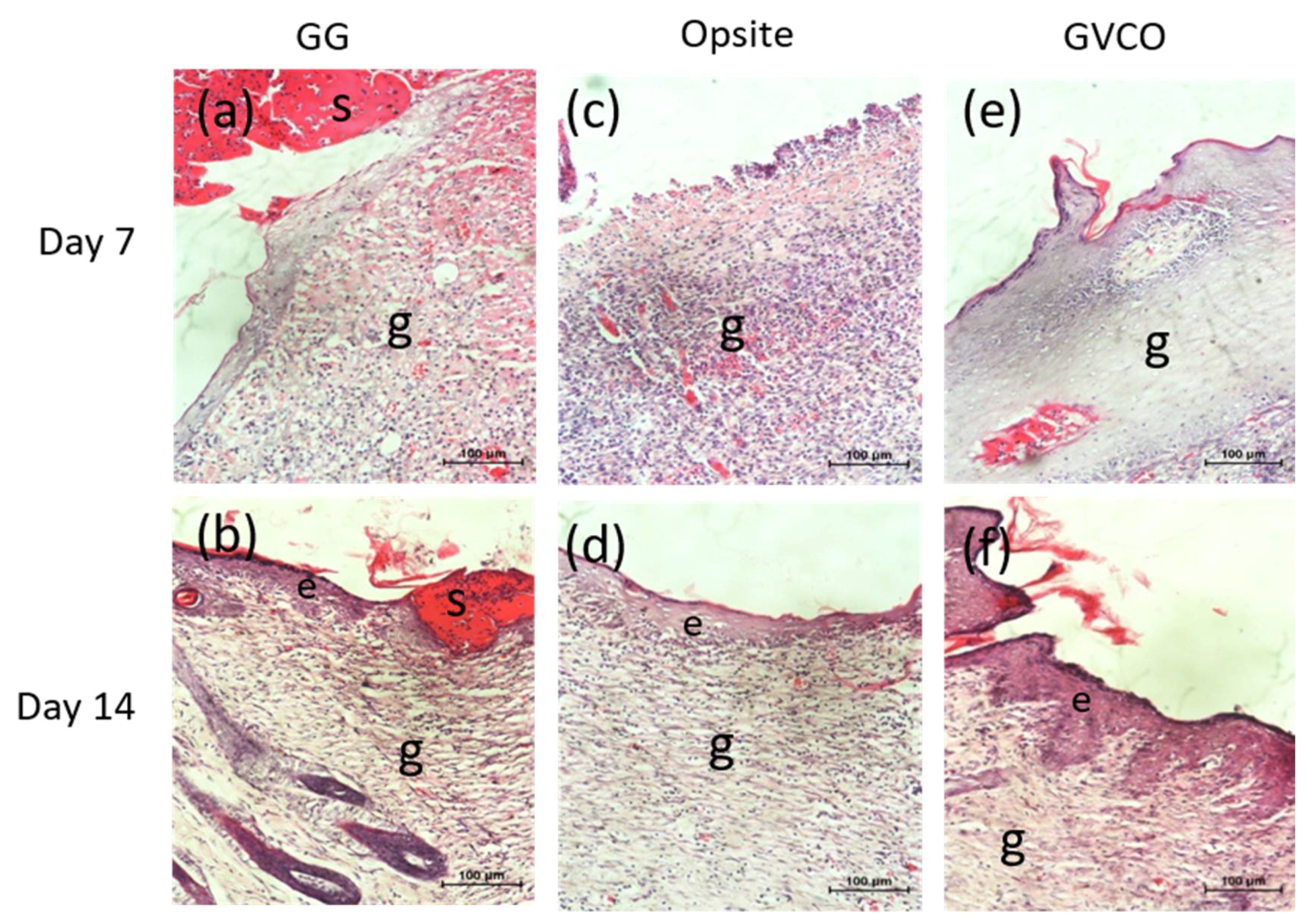 Polymers 13 03281 g008