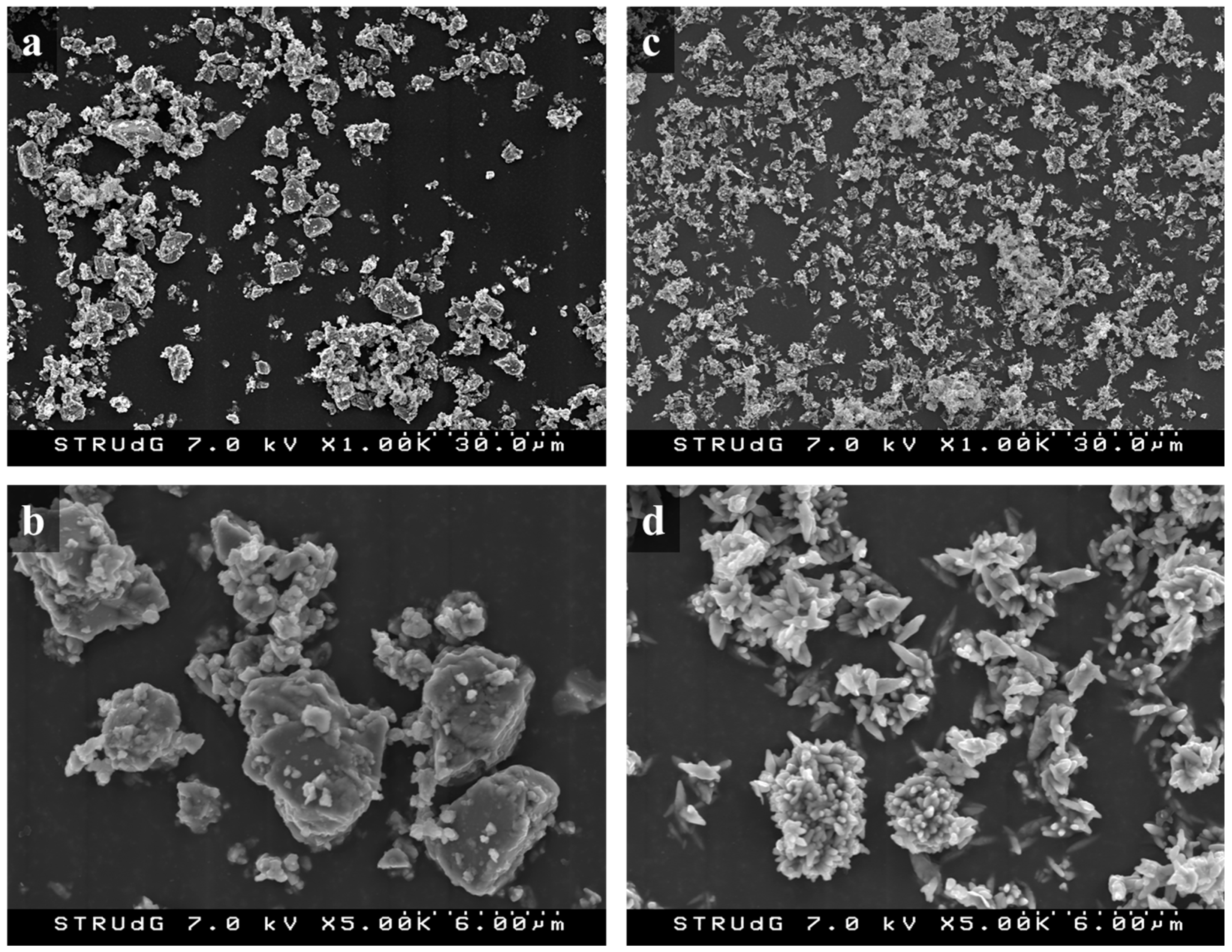 Polymers 13 03323 g005
