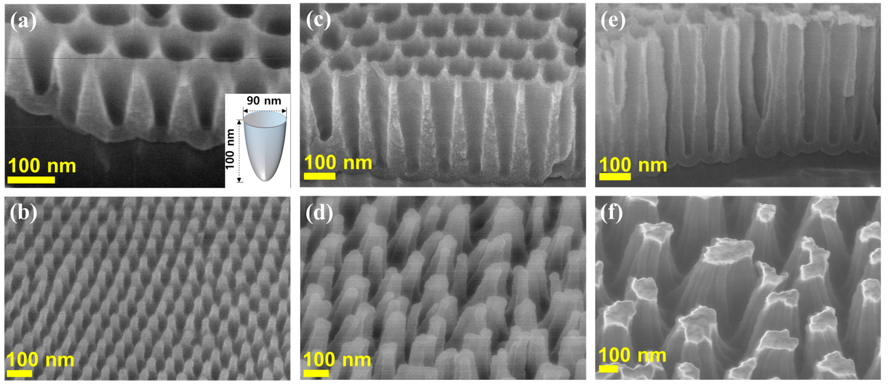 Polymers 13 03333 g002