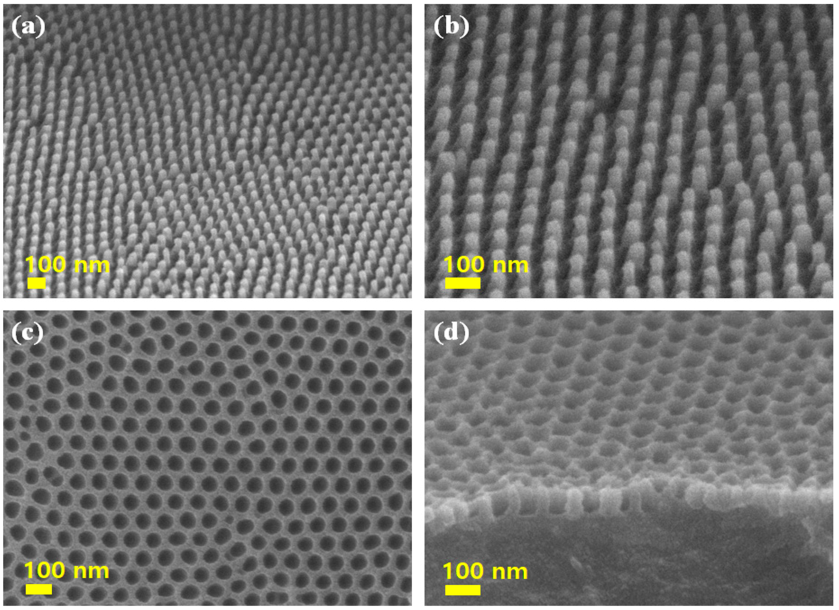 Polymers 13 03333 g003
