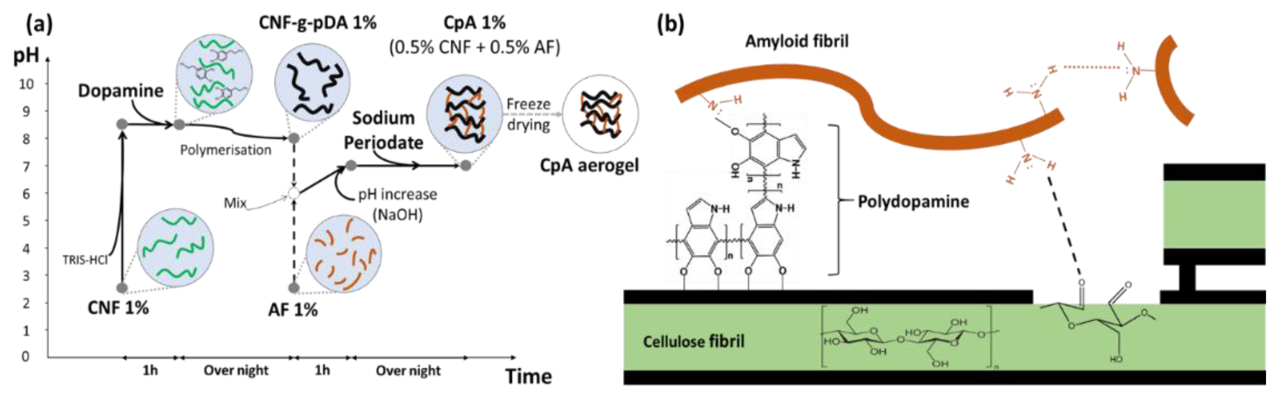 Polymers 13 03442 g001