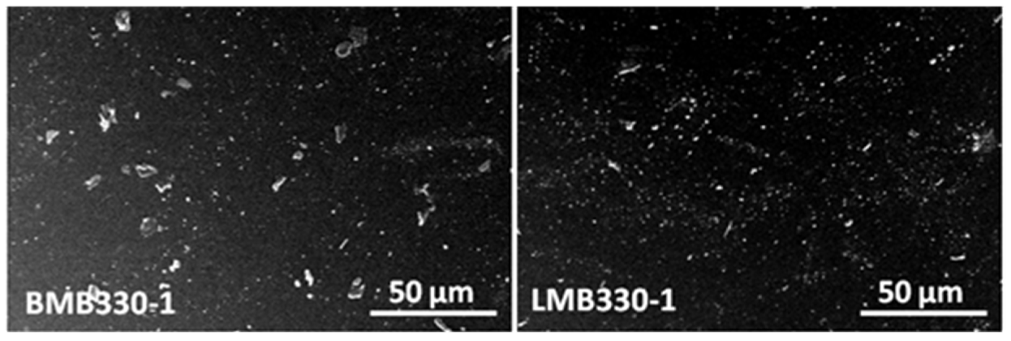 Polymers 13 03560 g008