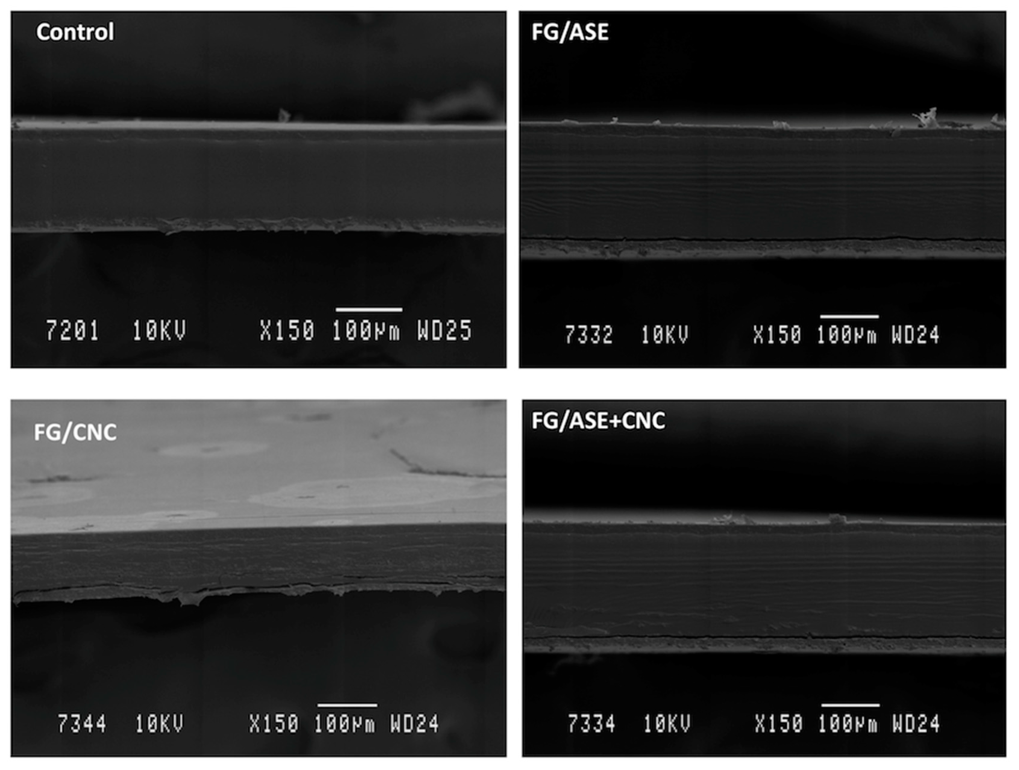 Polymers 13 03615 g004