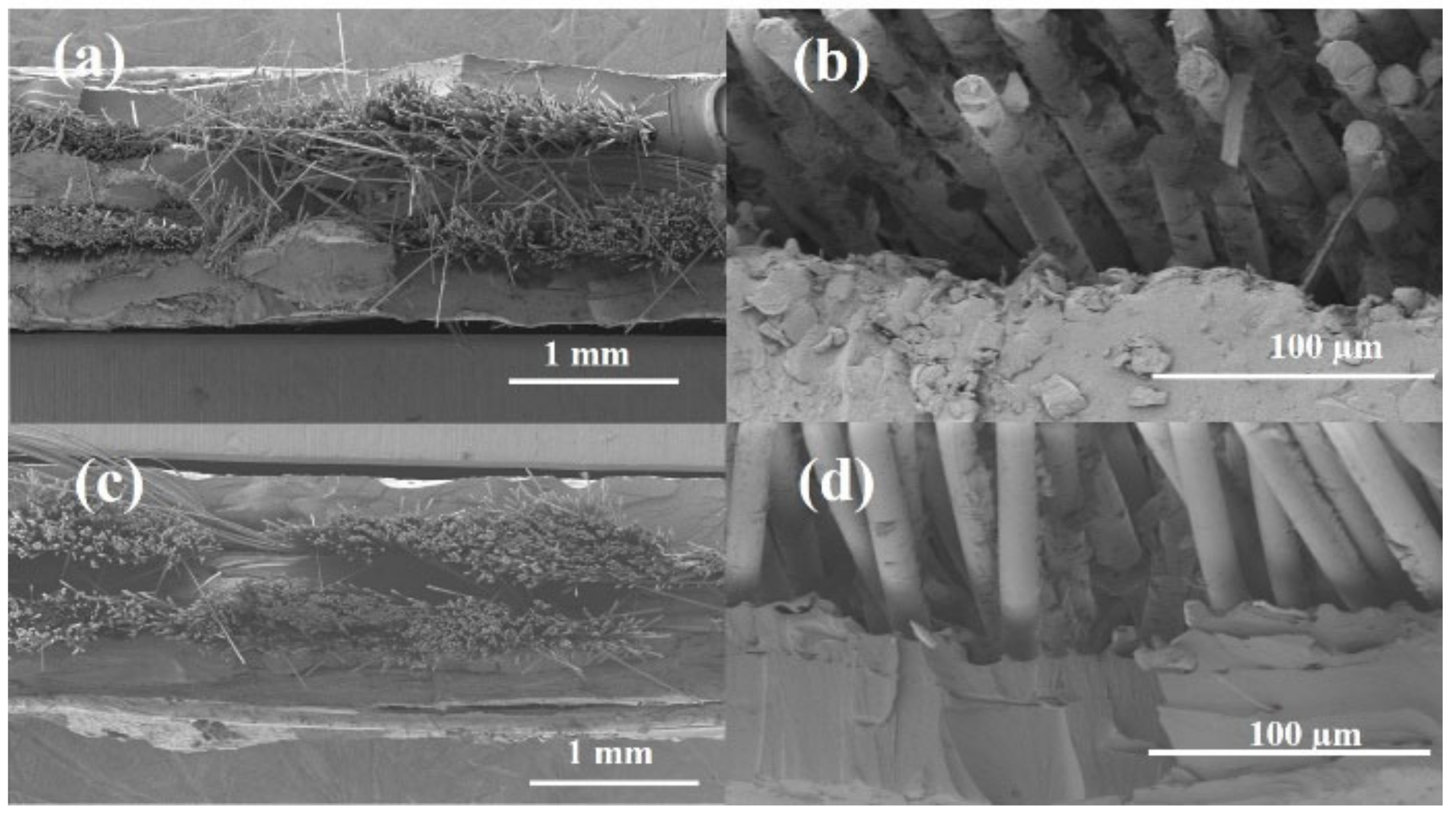 Polymers 13 03944 g009