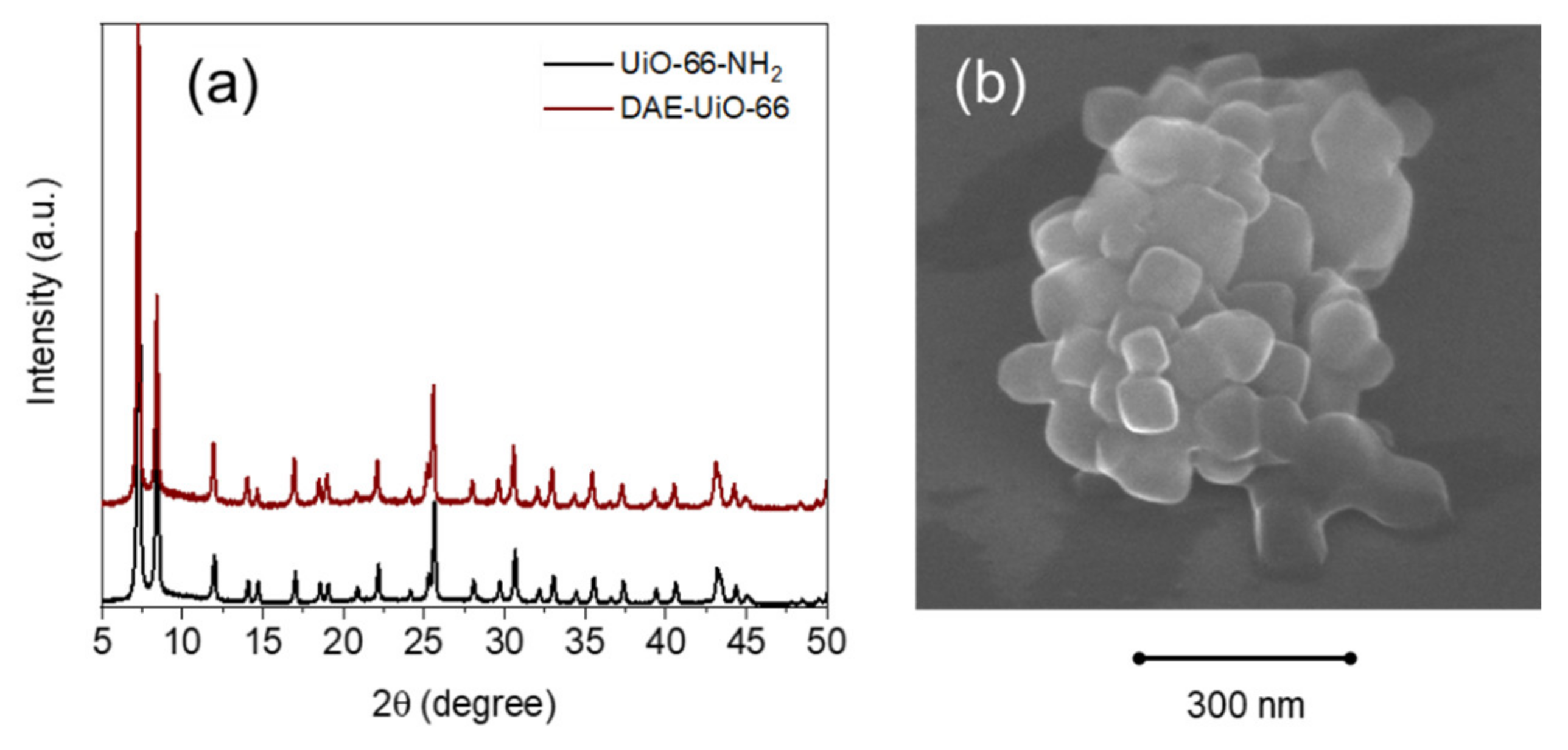 Polymers 13 04052 g003