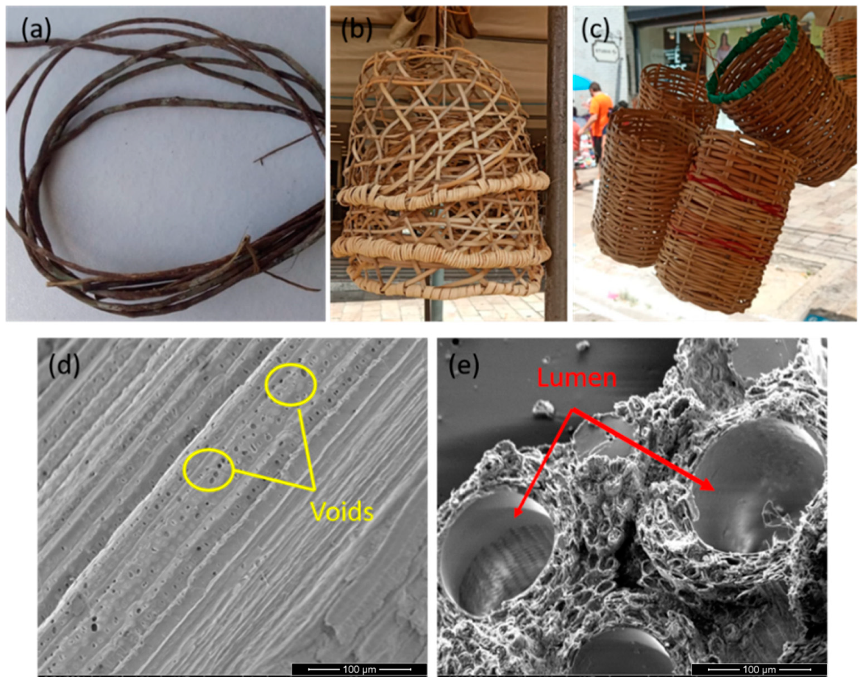 Polymers 13 04079 g001