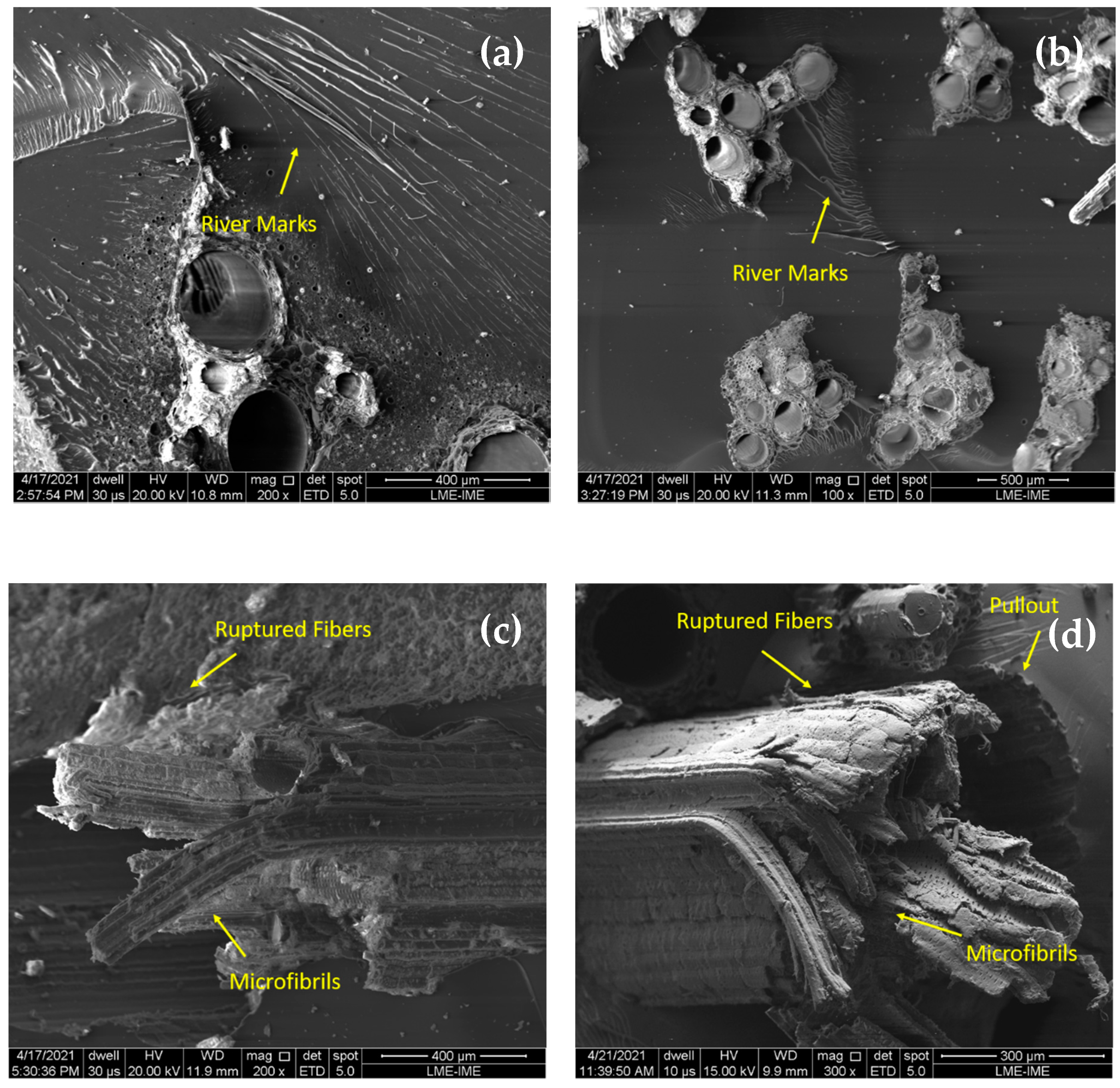Polymers 13 04079 g012