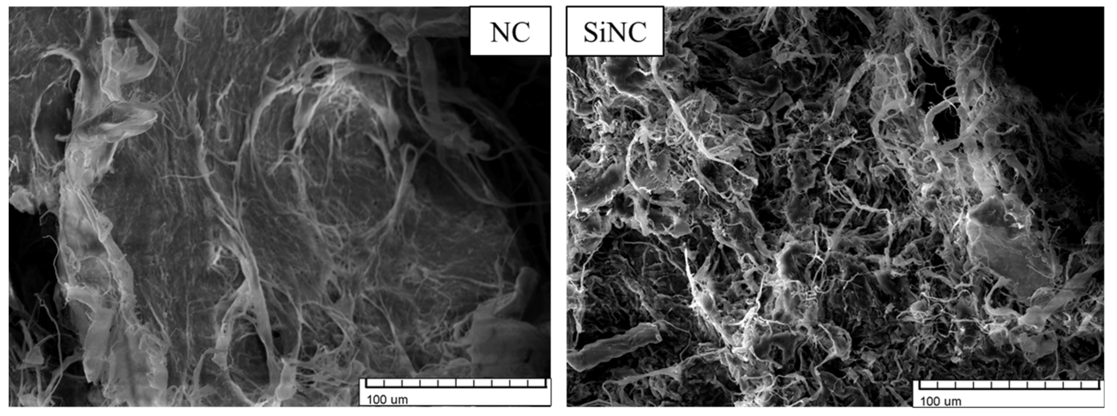Polymers 13 04089 g006
