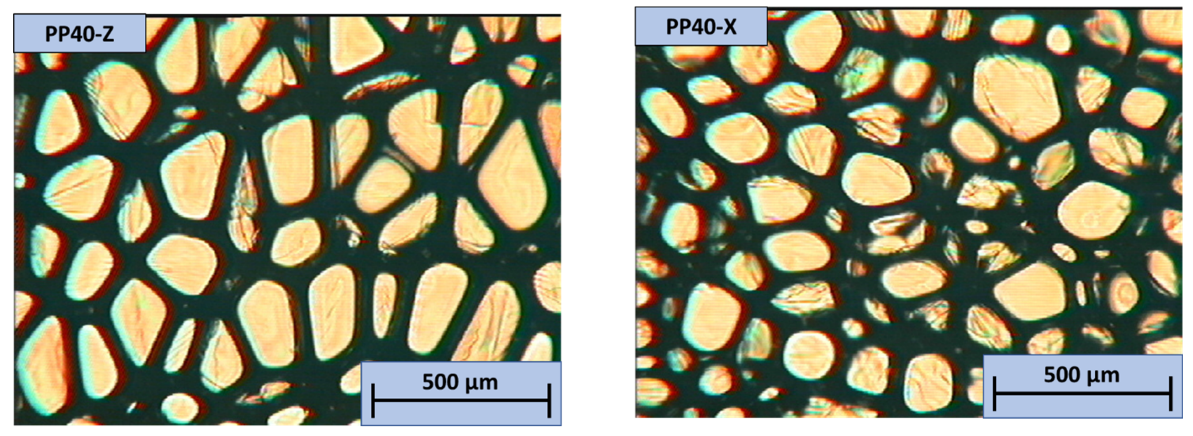 Polymers 13 04089 g017