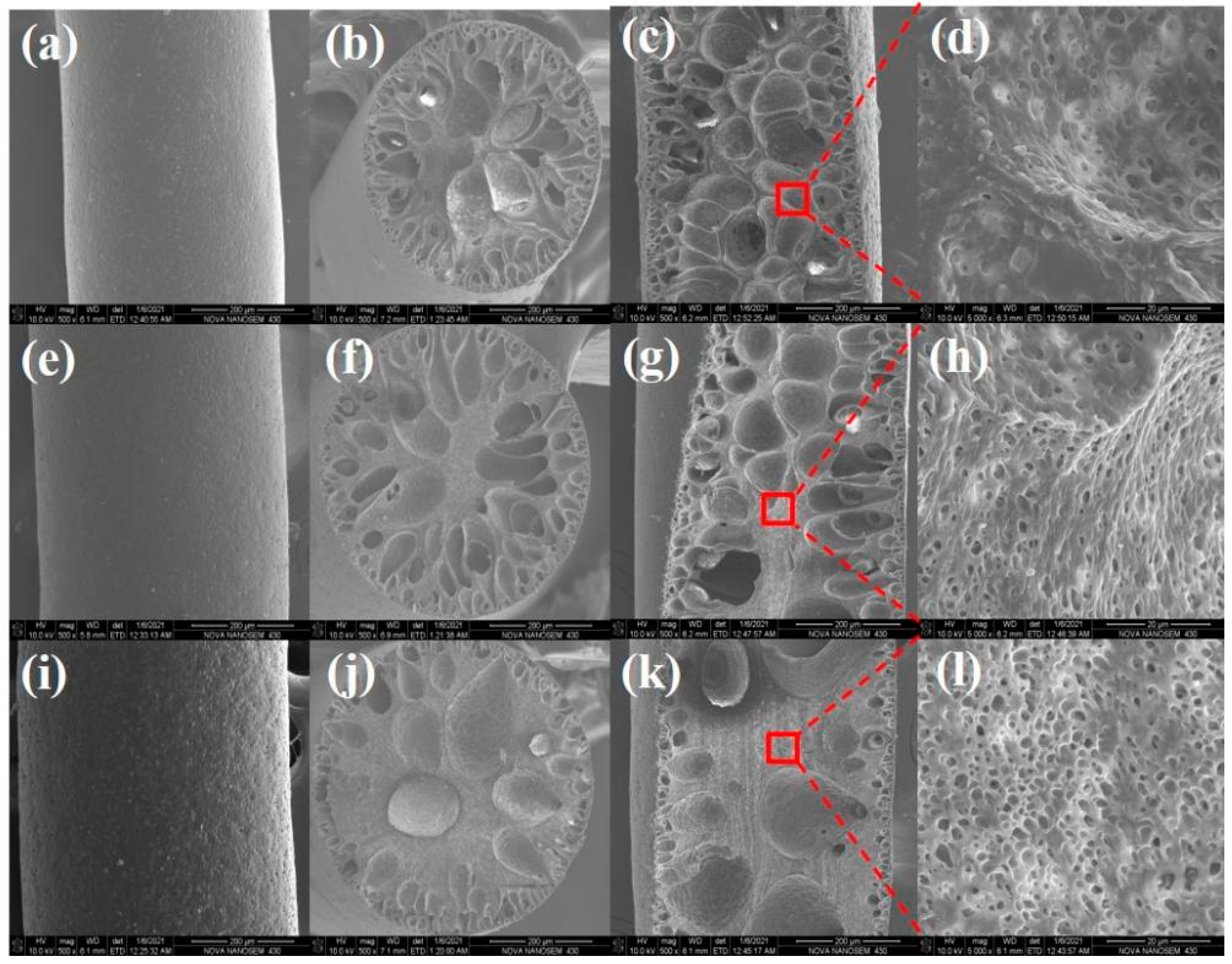 Polymers 14 00053 g002