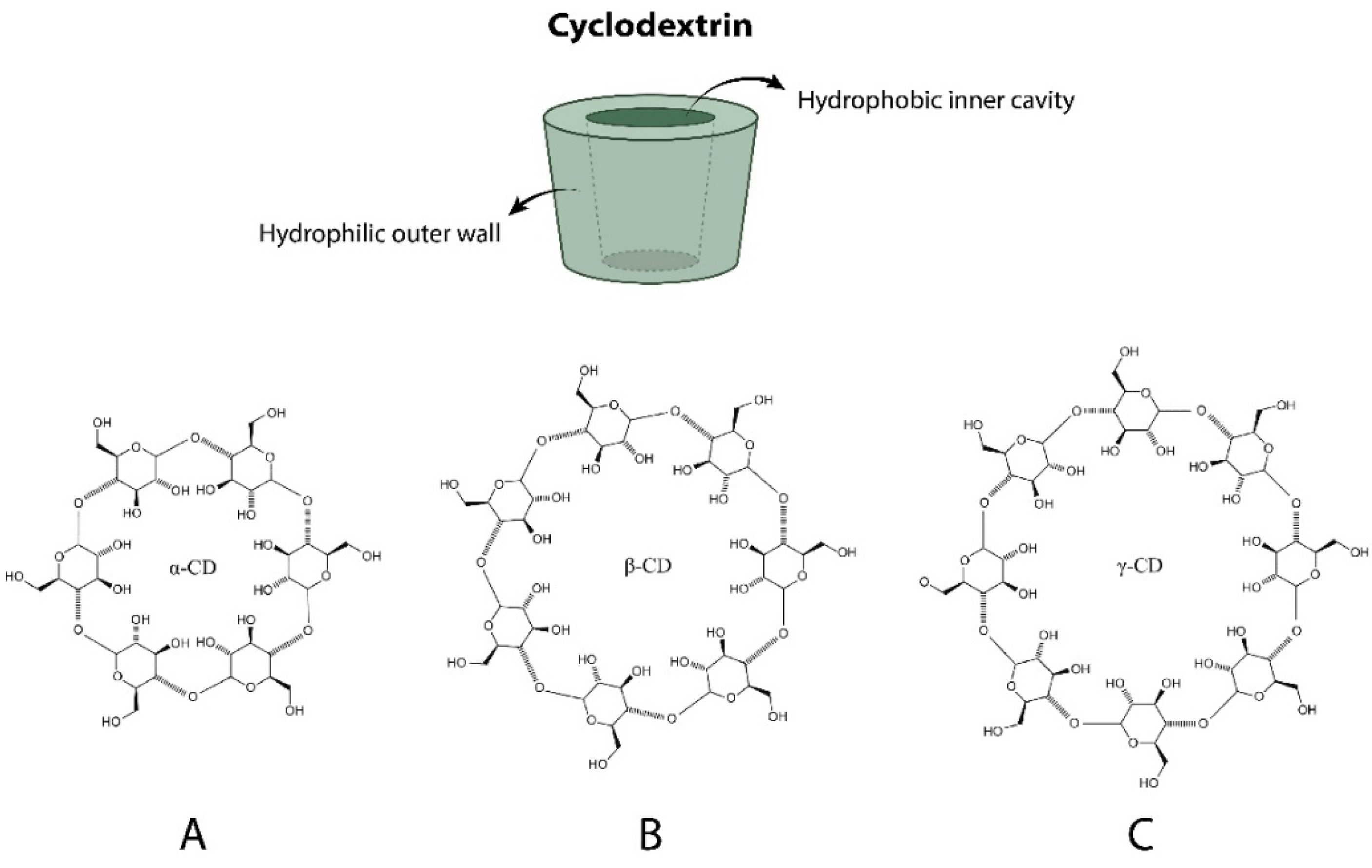 Polymers 14 00104 g003