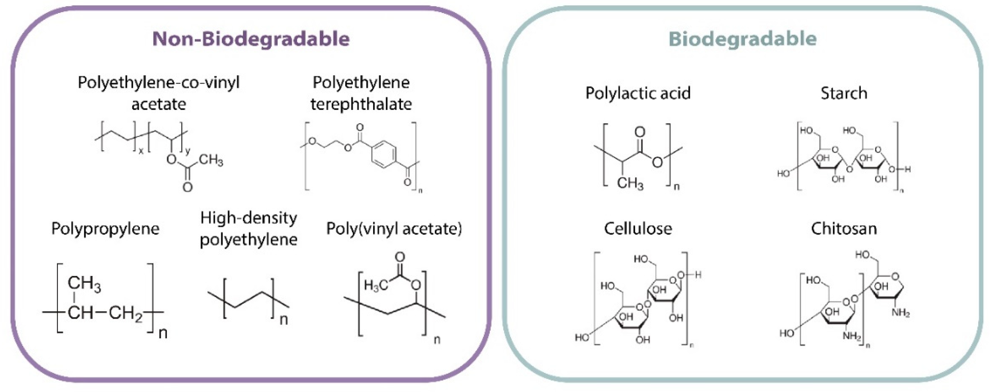 Polymers 14 00104 g004