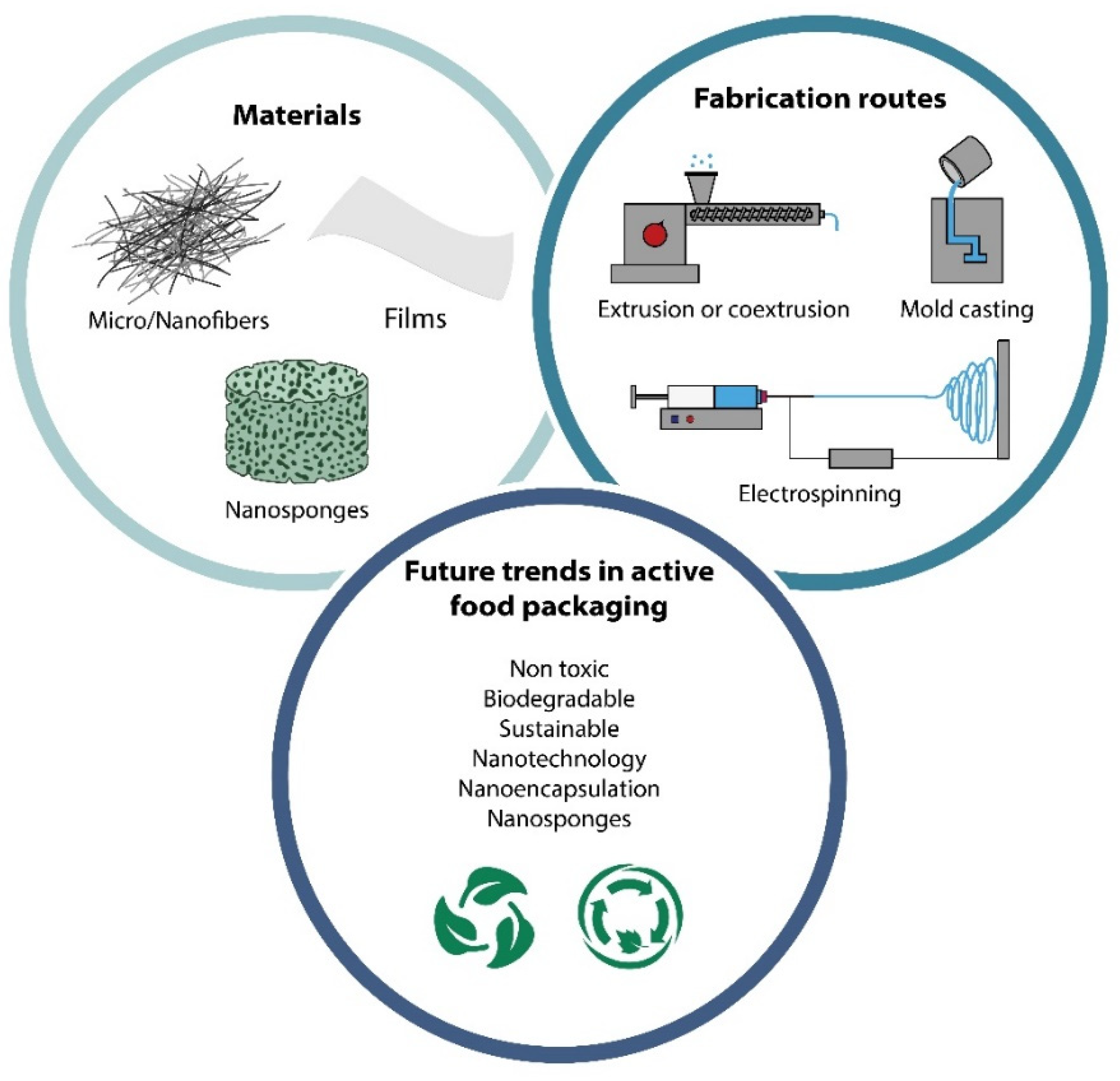 Polymers 14 00104 g006