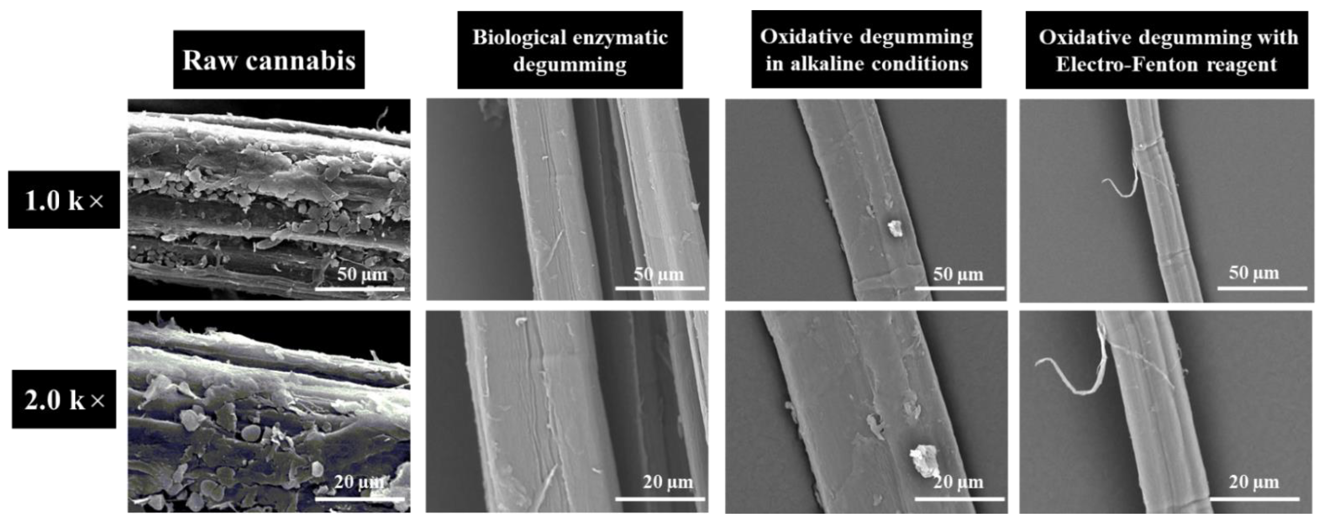 Polymers 14 00380 g004