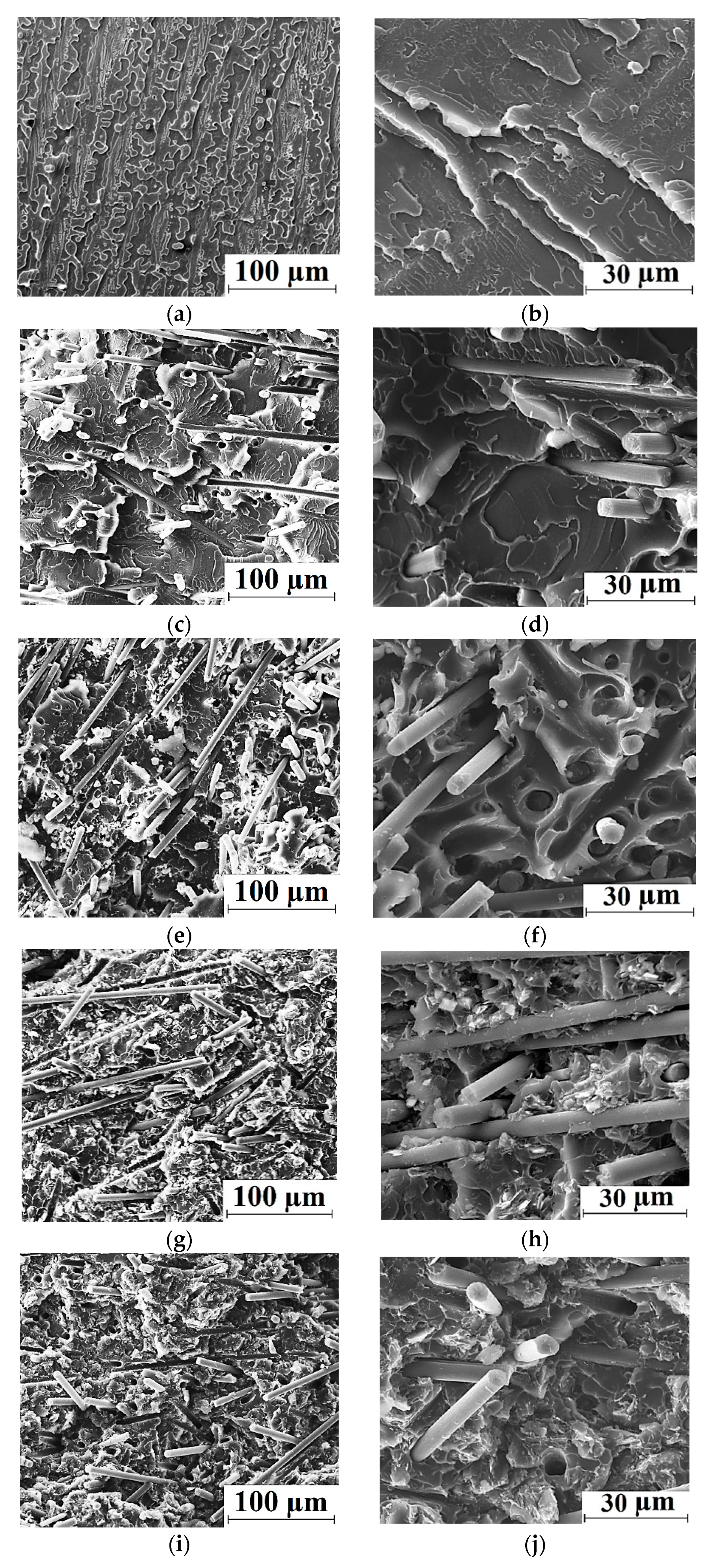 Polymers 14 01215 g003