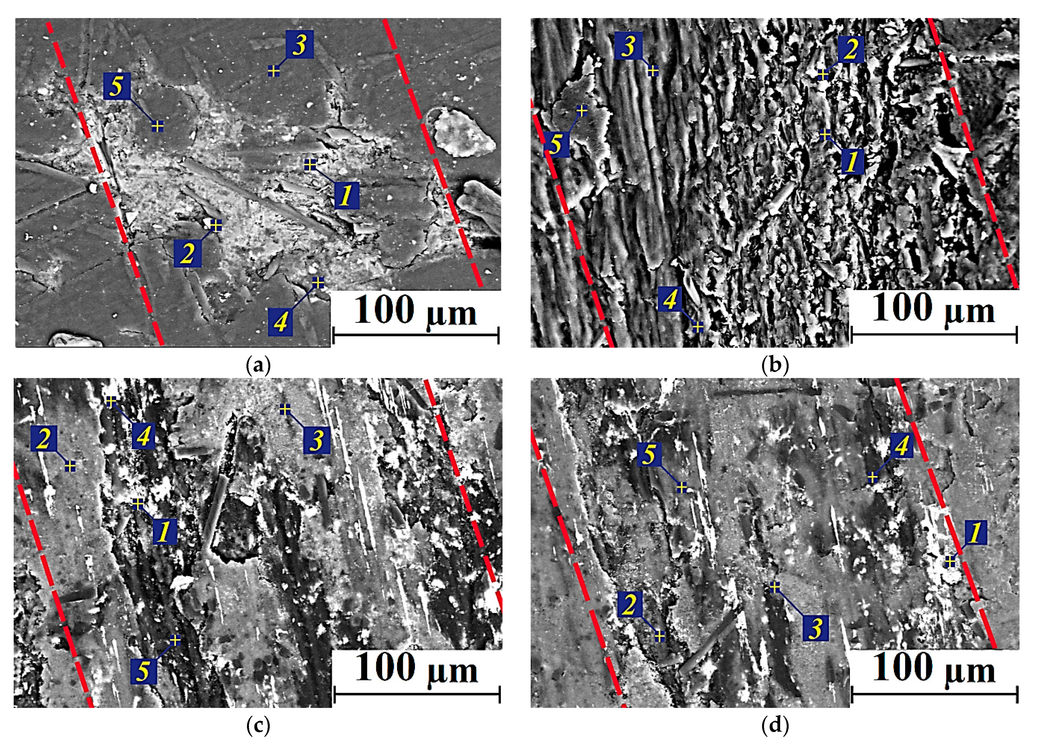 Polymers 14 01215 g008