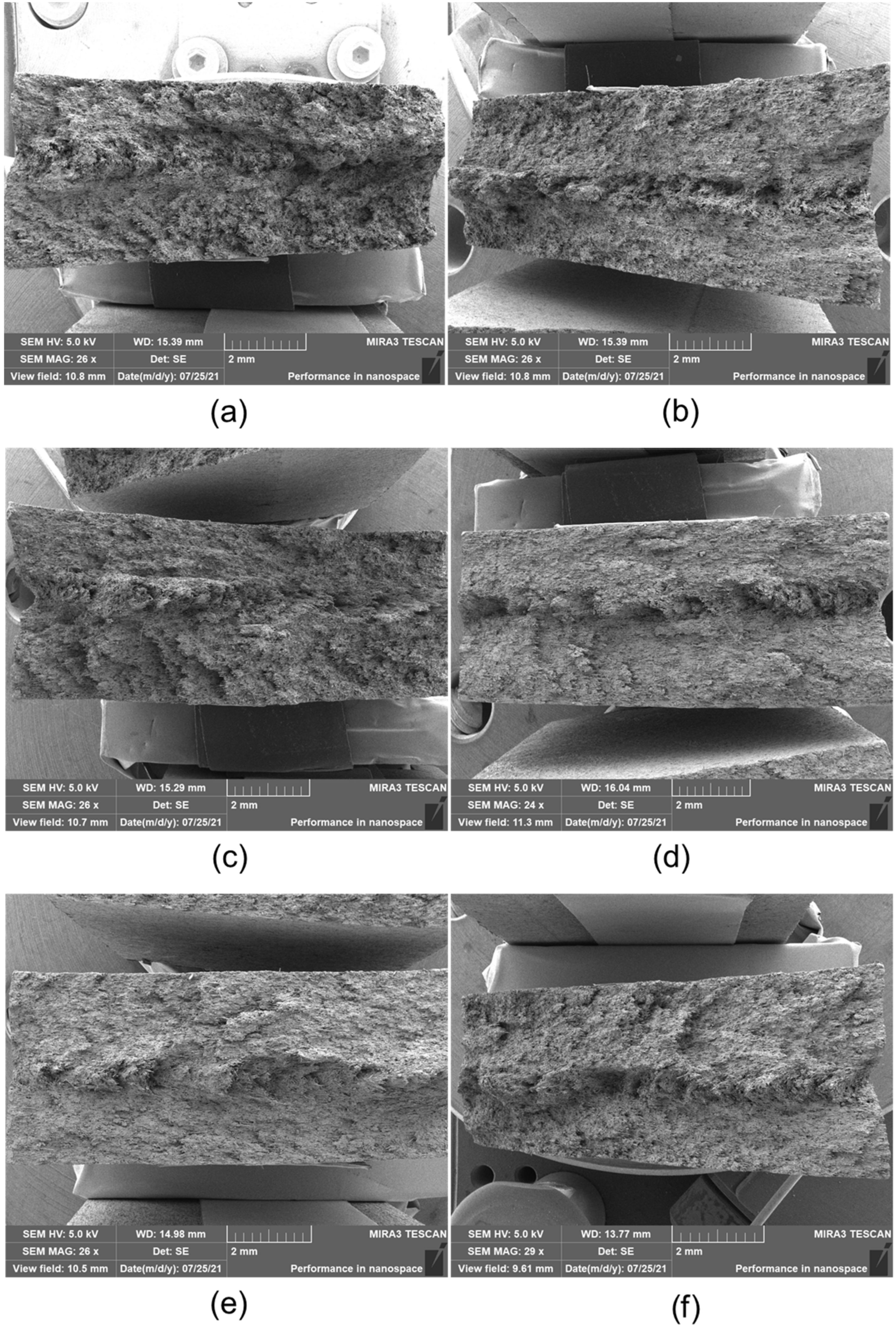 Polymers 14 01275 g003