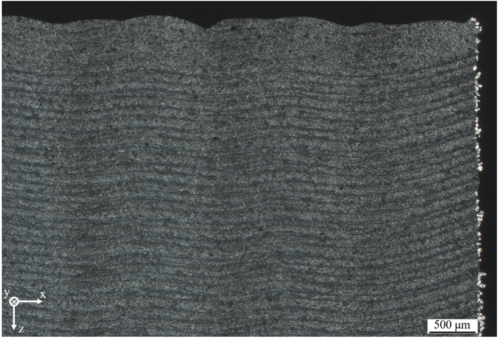 Polymers 14 01428 g009