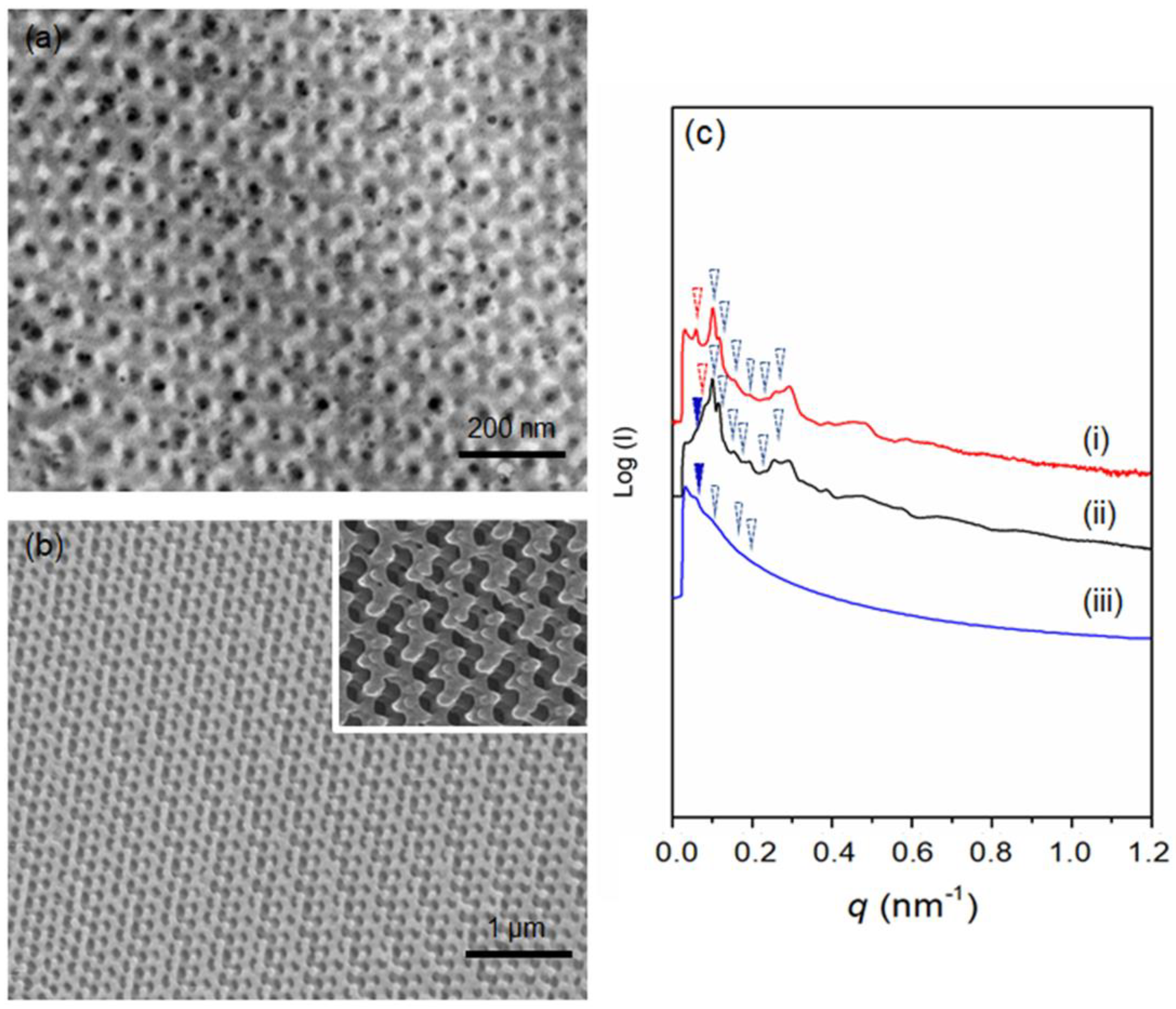 Polymers 14 01891 g003