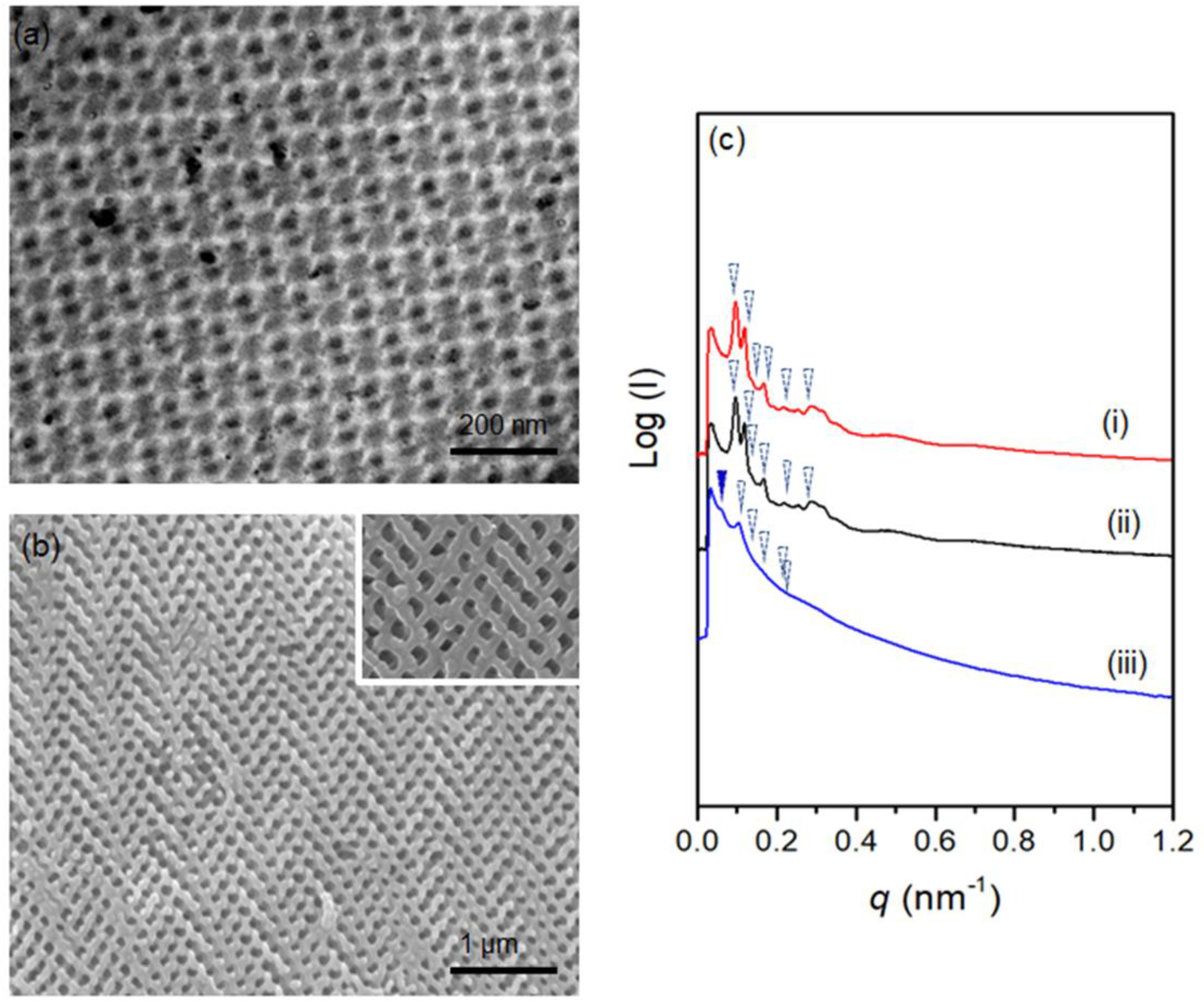 Polymers 14 01891 g004