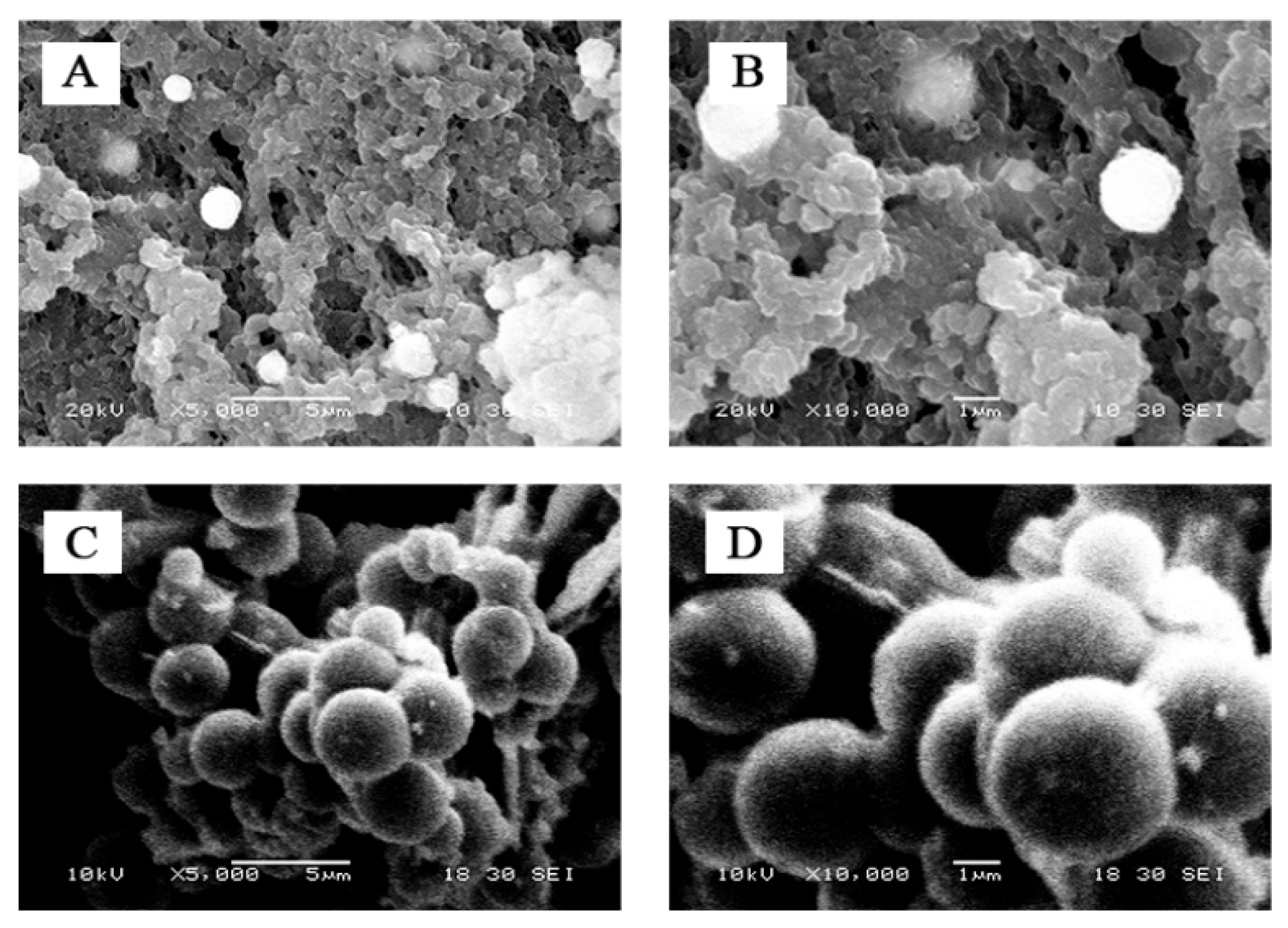 Polymers 14 01900 g001