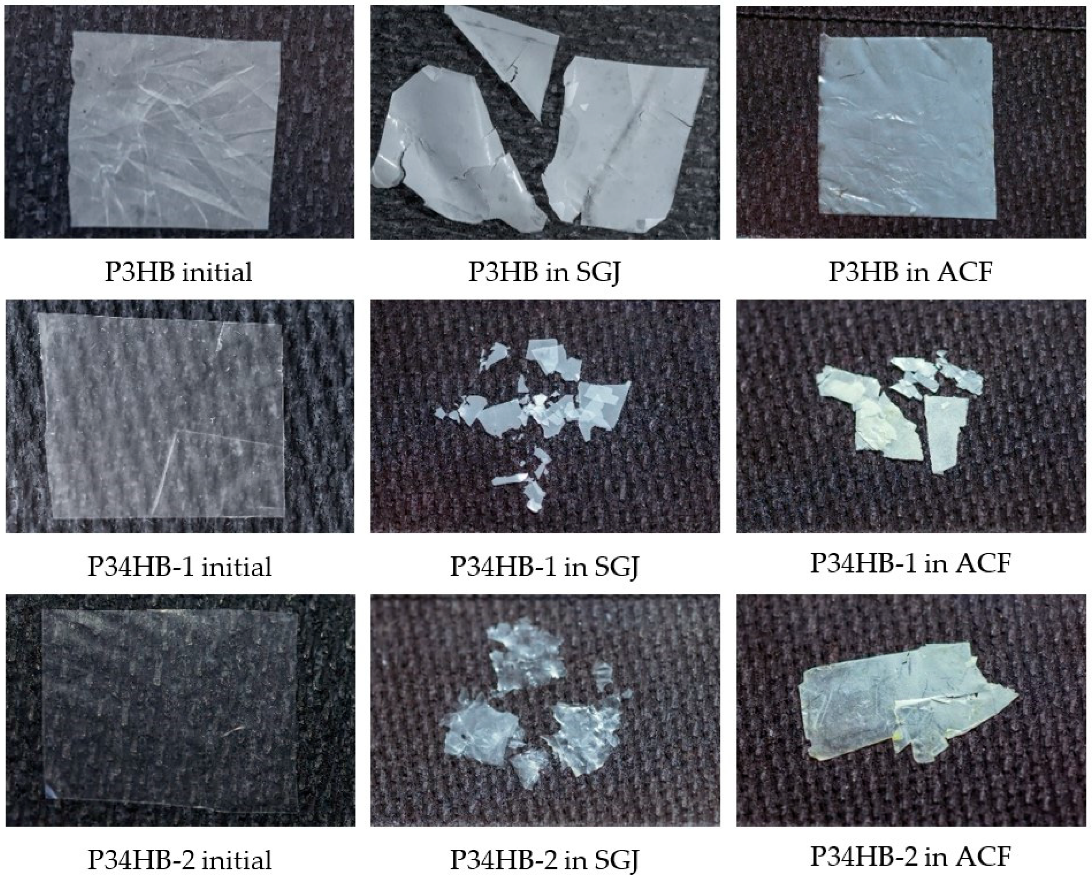 Polymers 14 01990 g001