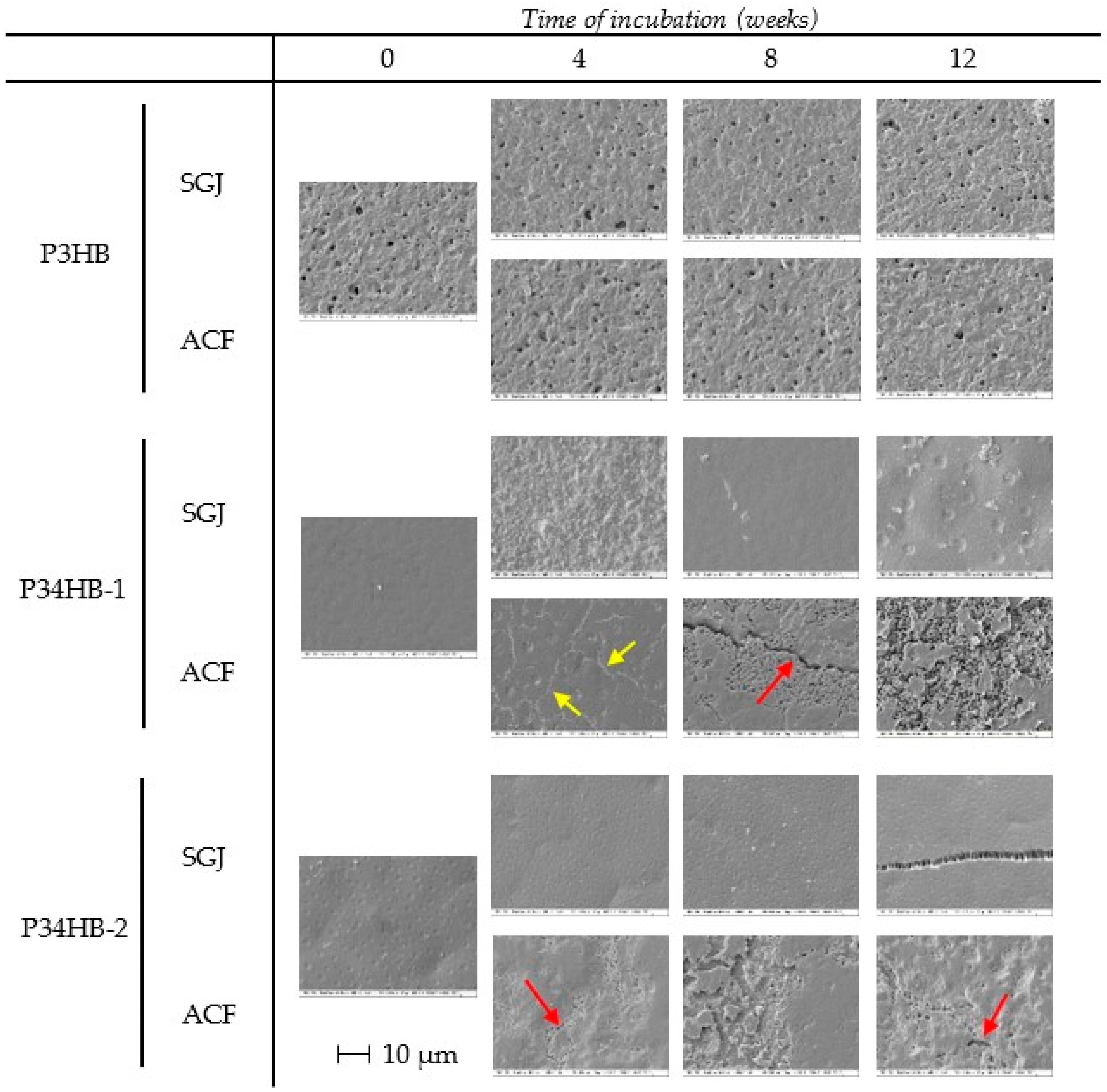 Polymers 14 01990 g003