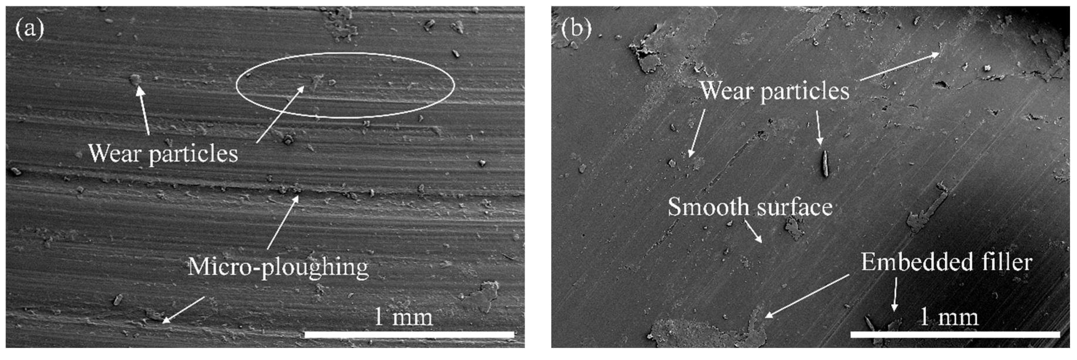 Polymers 14 02603 g003a