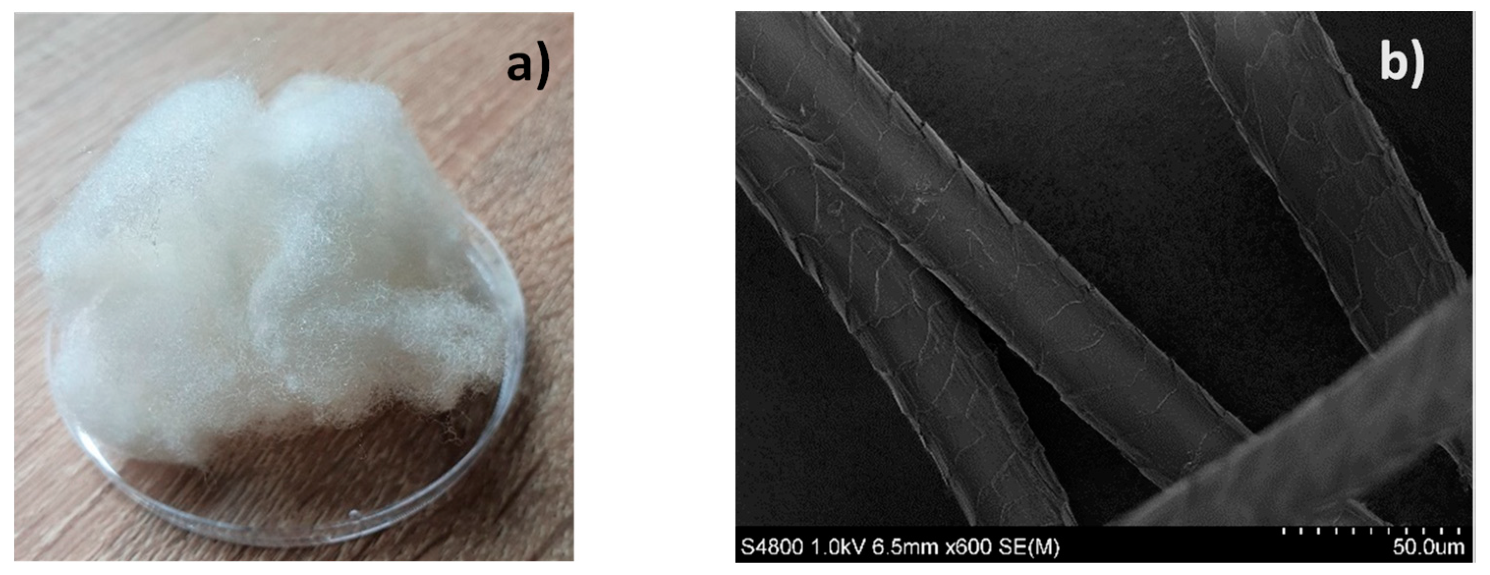 Polymers 14 02651 g001
