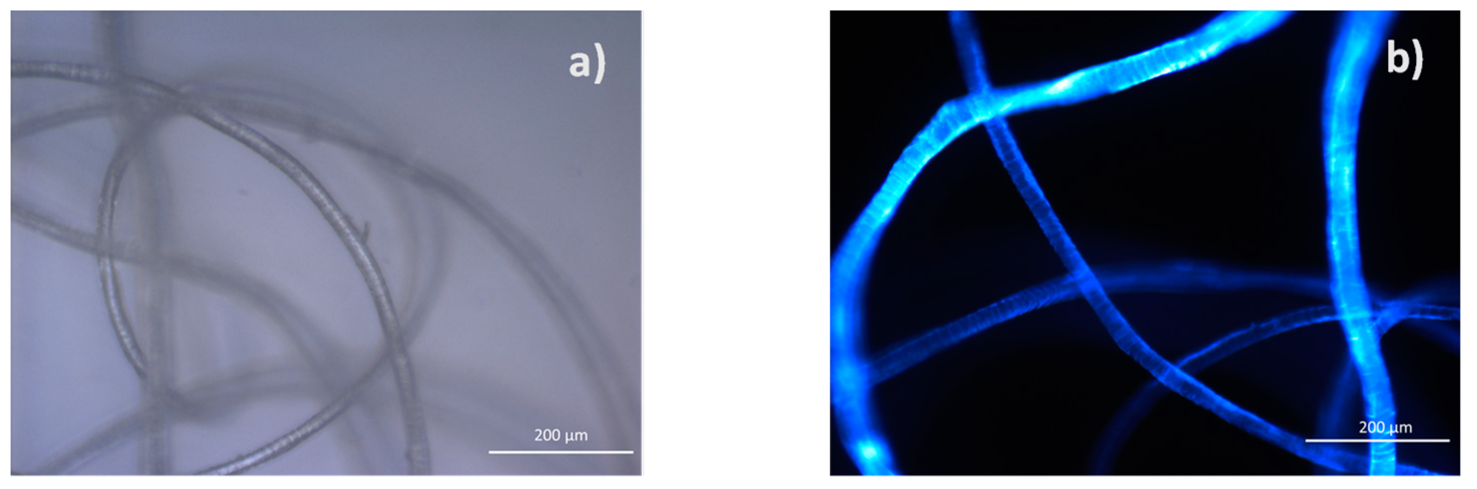Polymers 14 02651 g014