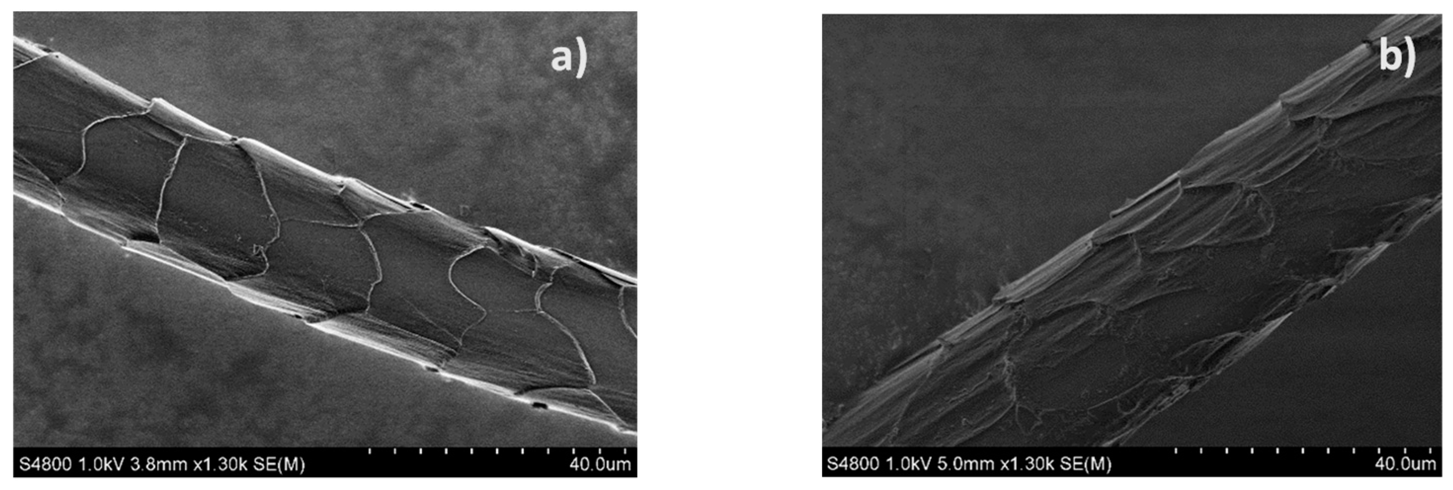 Polymers 14 02651 g015