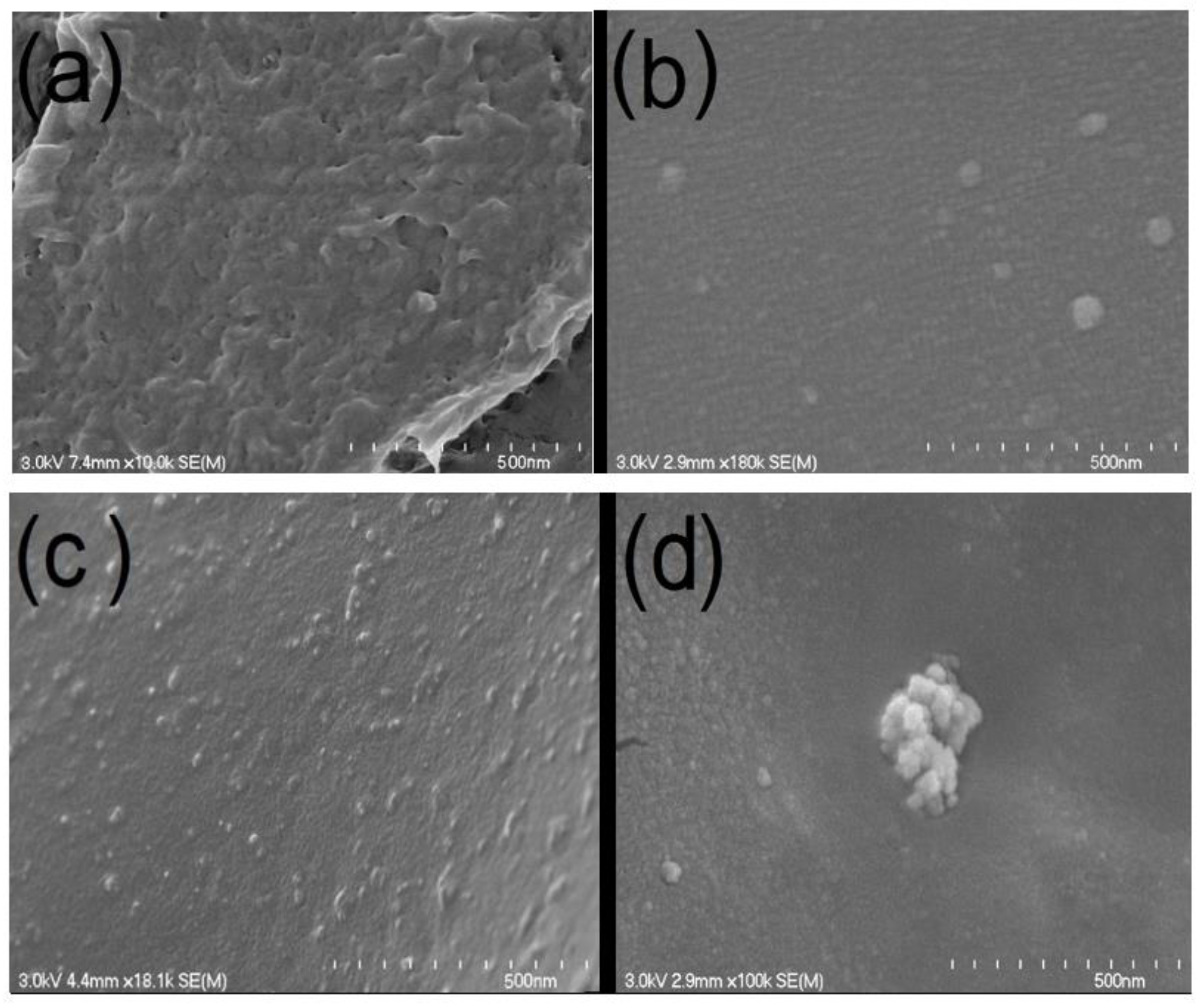 Polymers 14 02802 g002