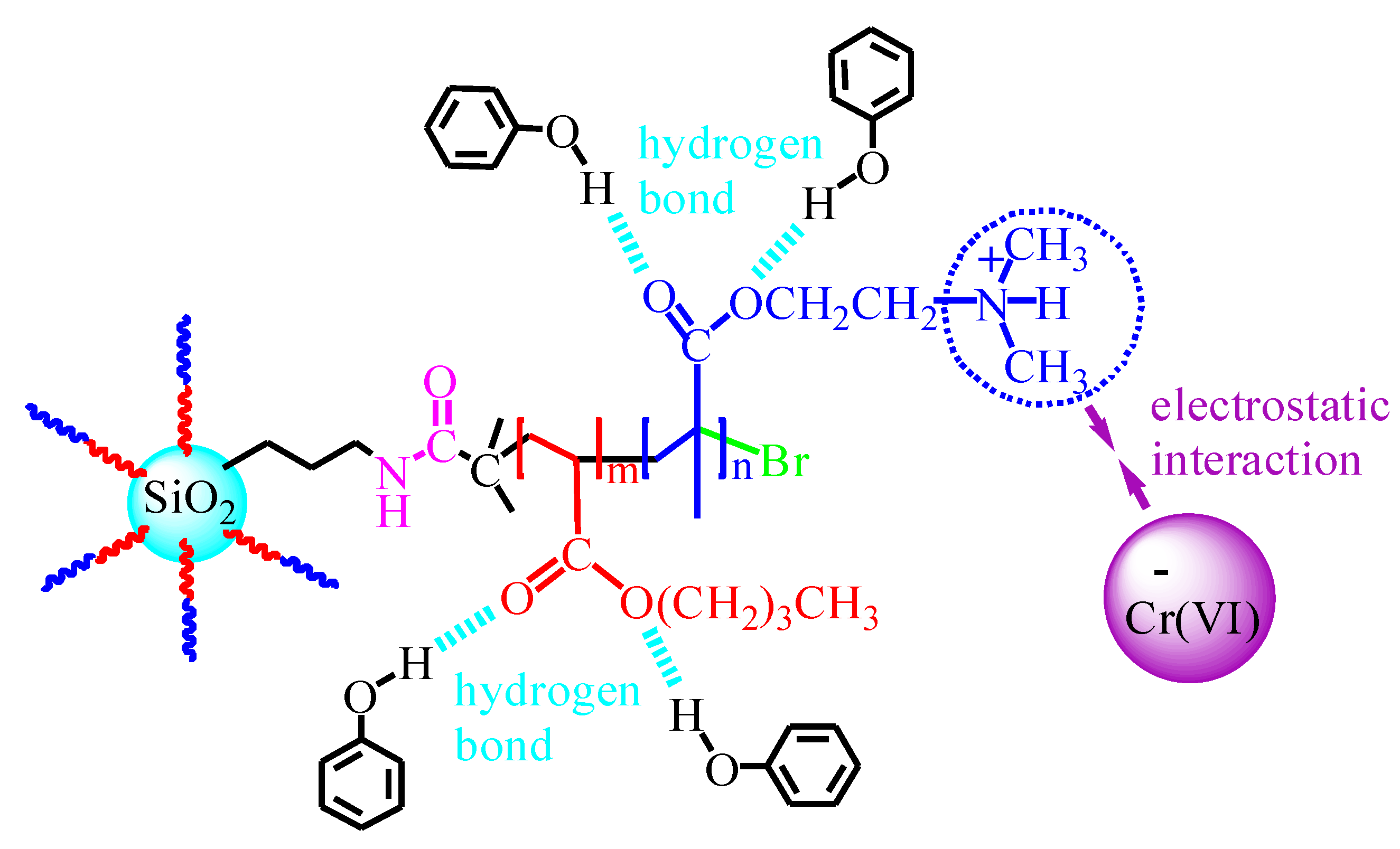 Polymers 14 02894 g011