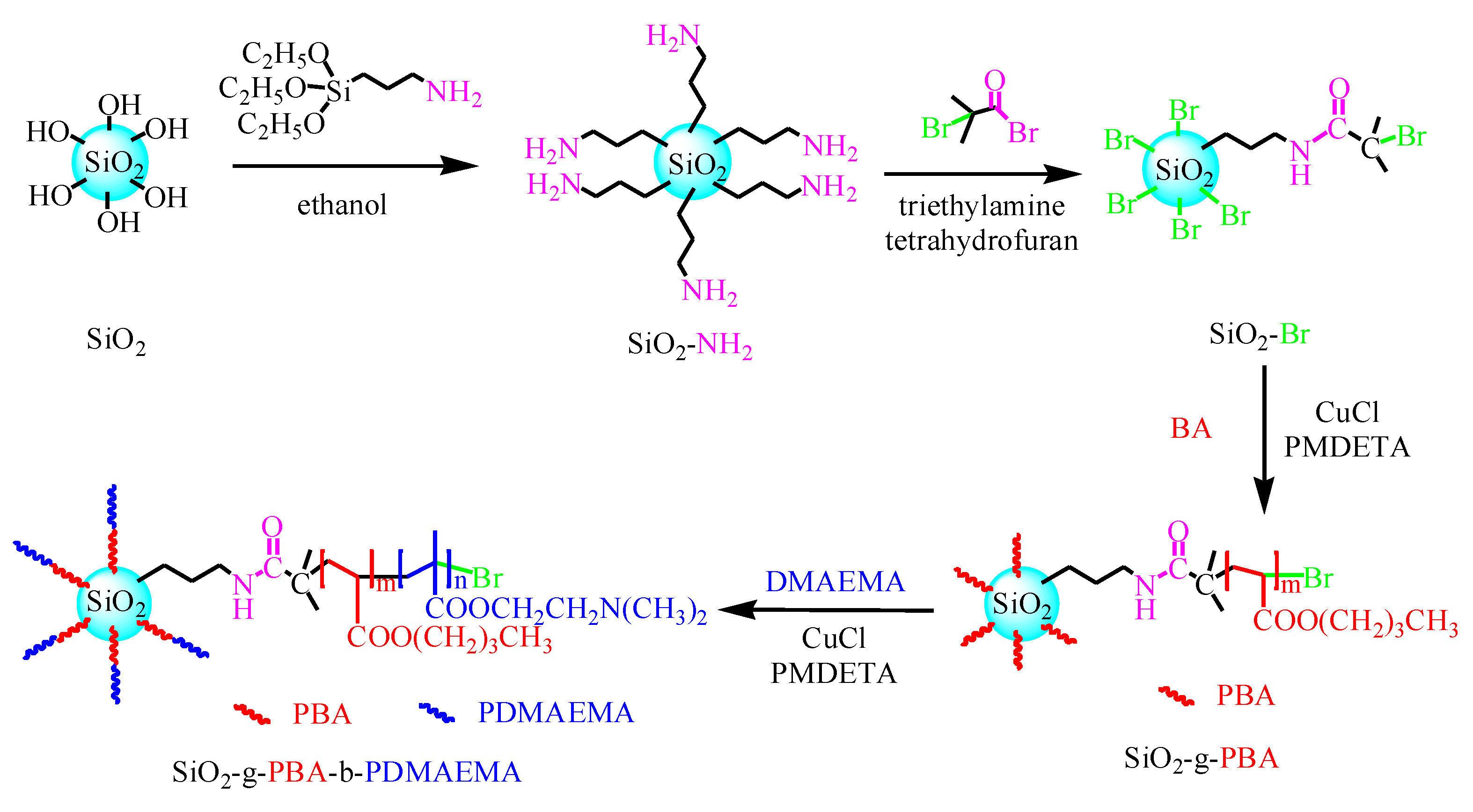 Polymers 14 02894 sch001