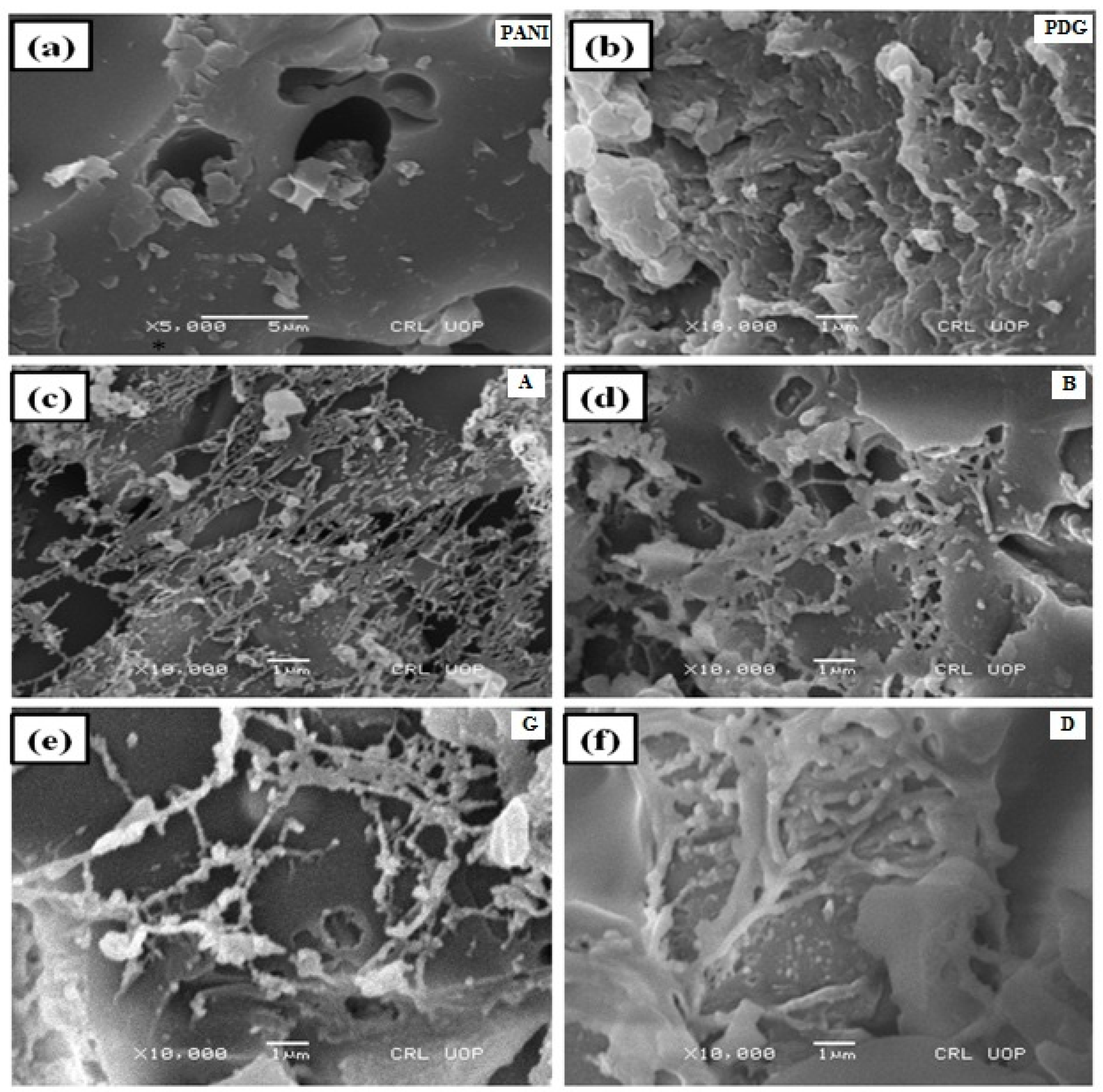 Polymers 14 03116 g006