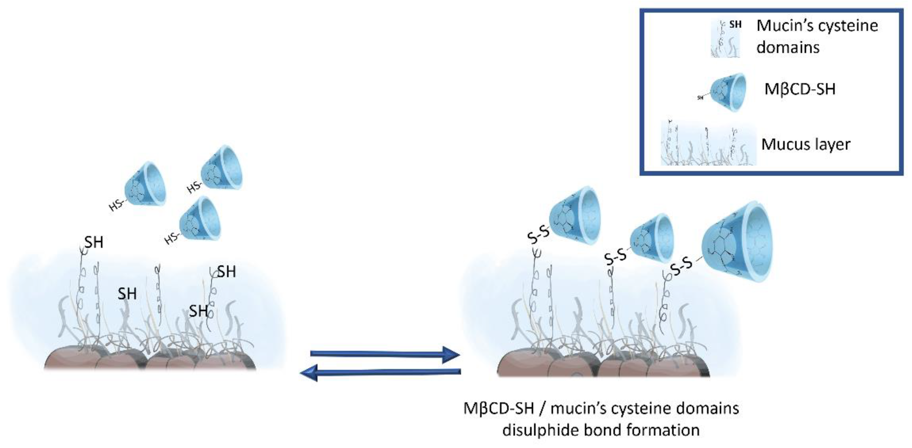 Polymers 14 03170 g004