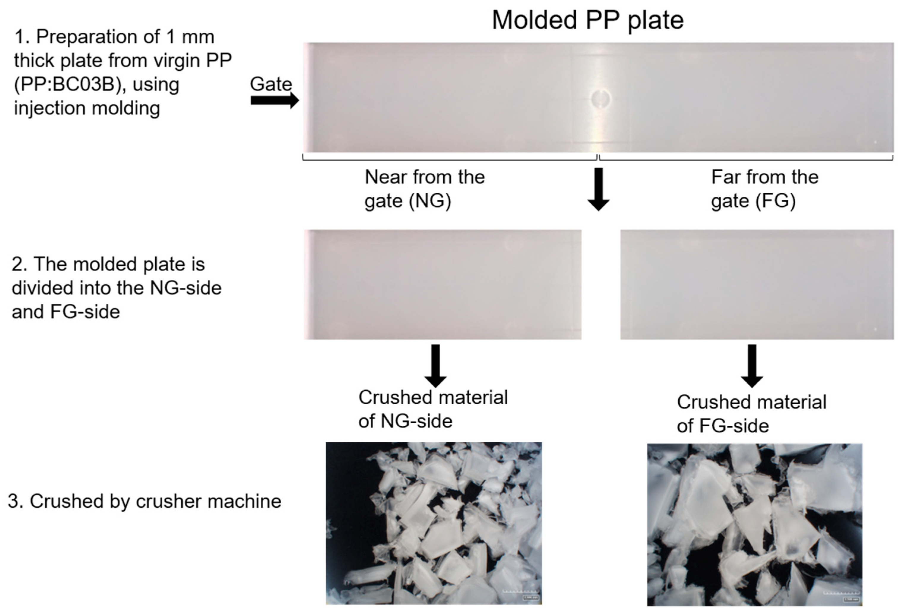 Polymers 14 03238 g001
