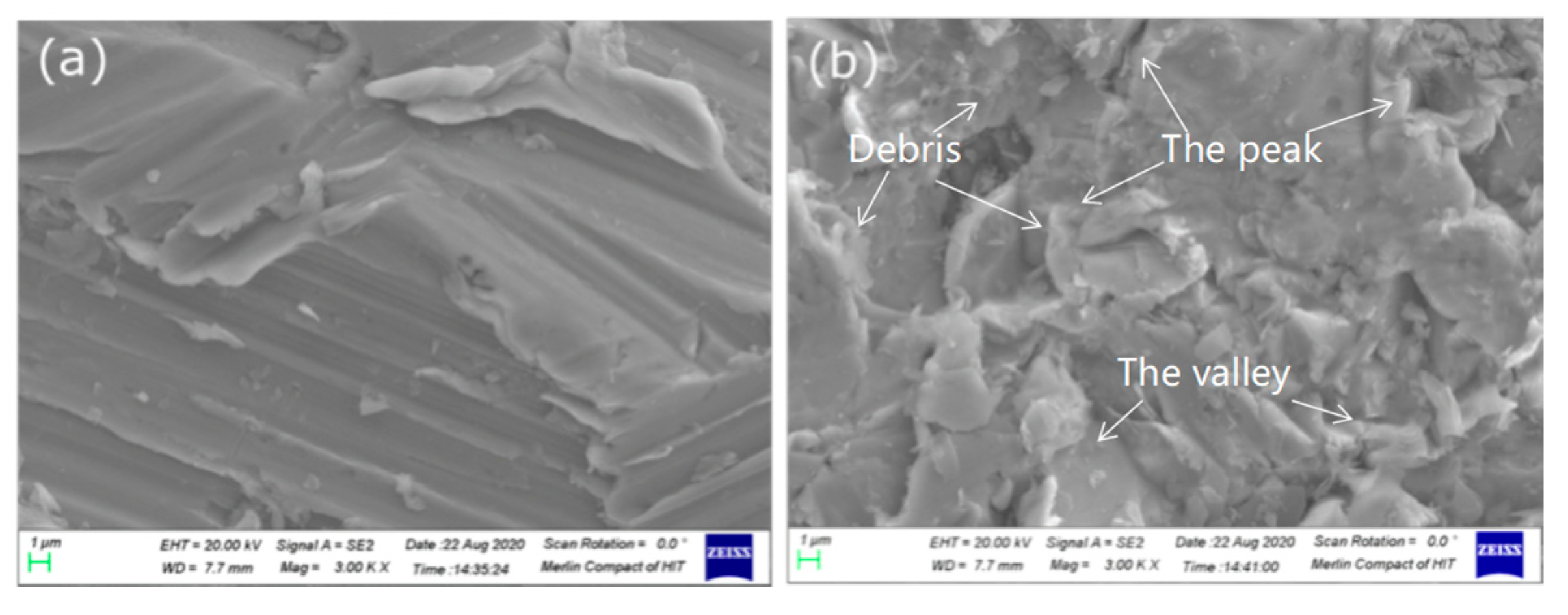 Polymers 14 03438 g005