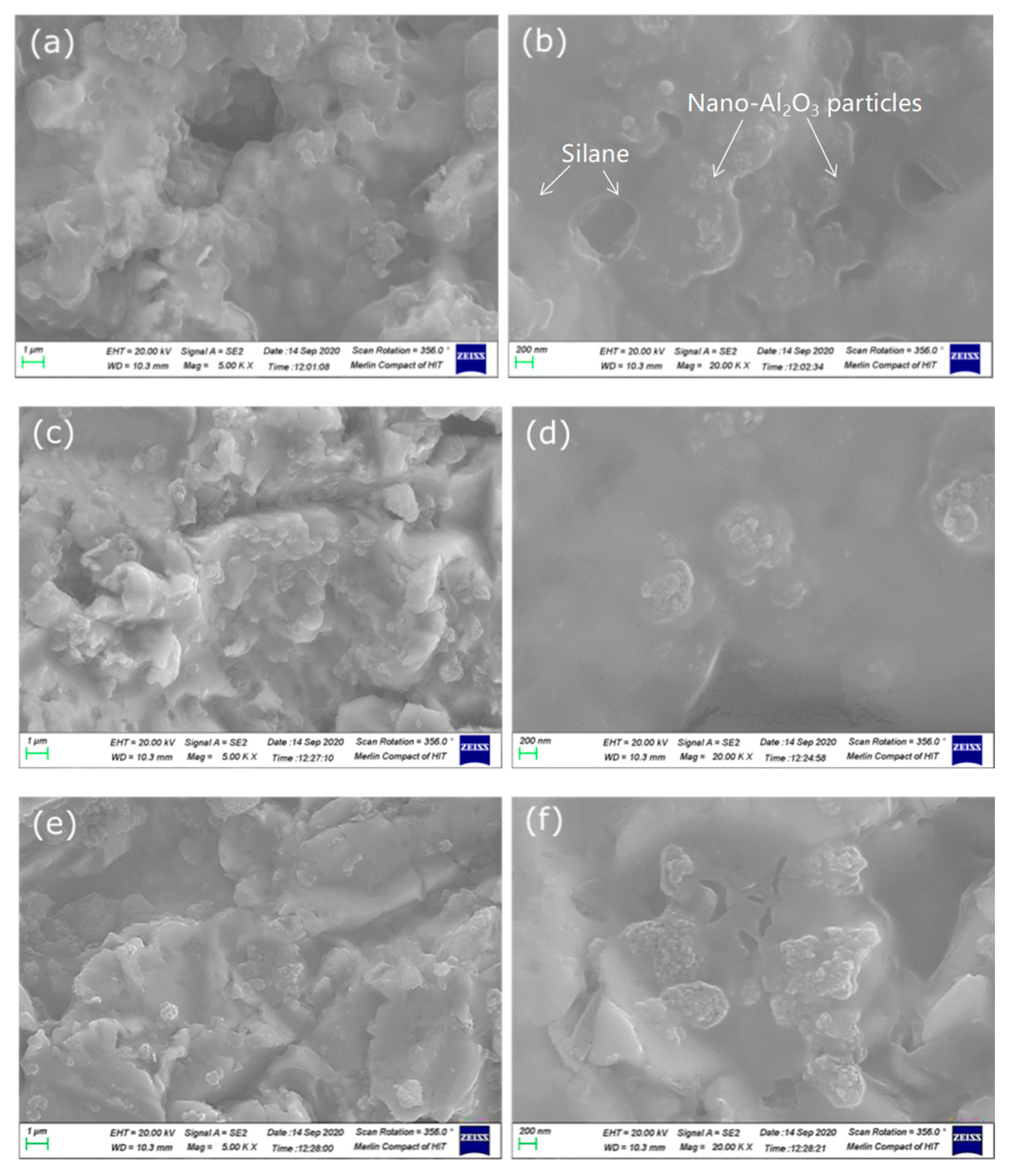 Polymers 14 03438 g006