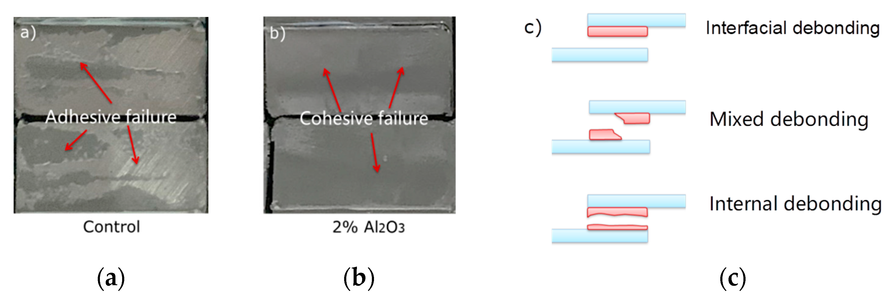 Polymers 14 03438 g021