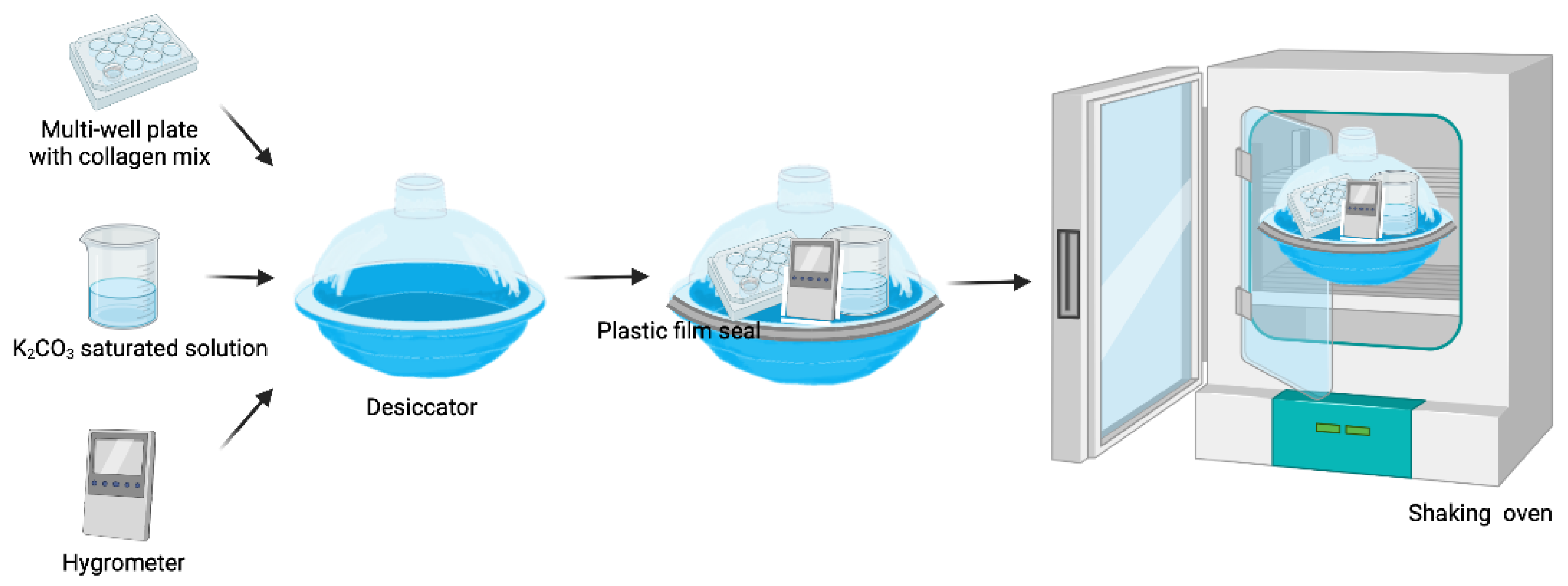 Polymers 14 03556 g001