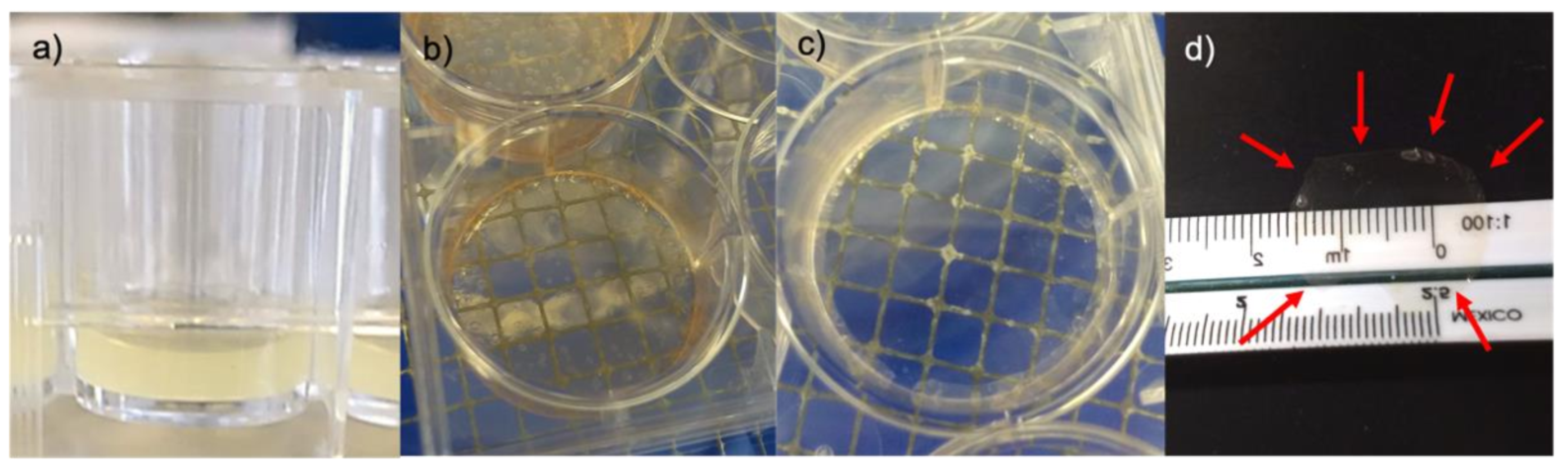 Polymers 14 03556 g003