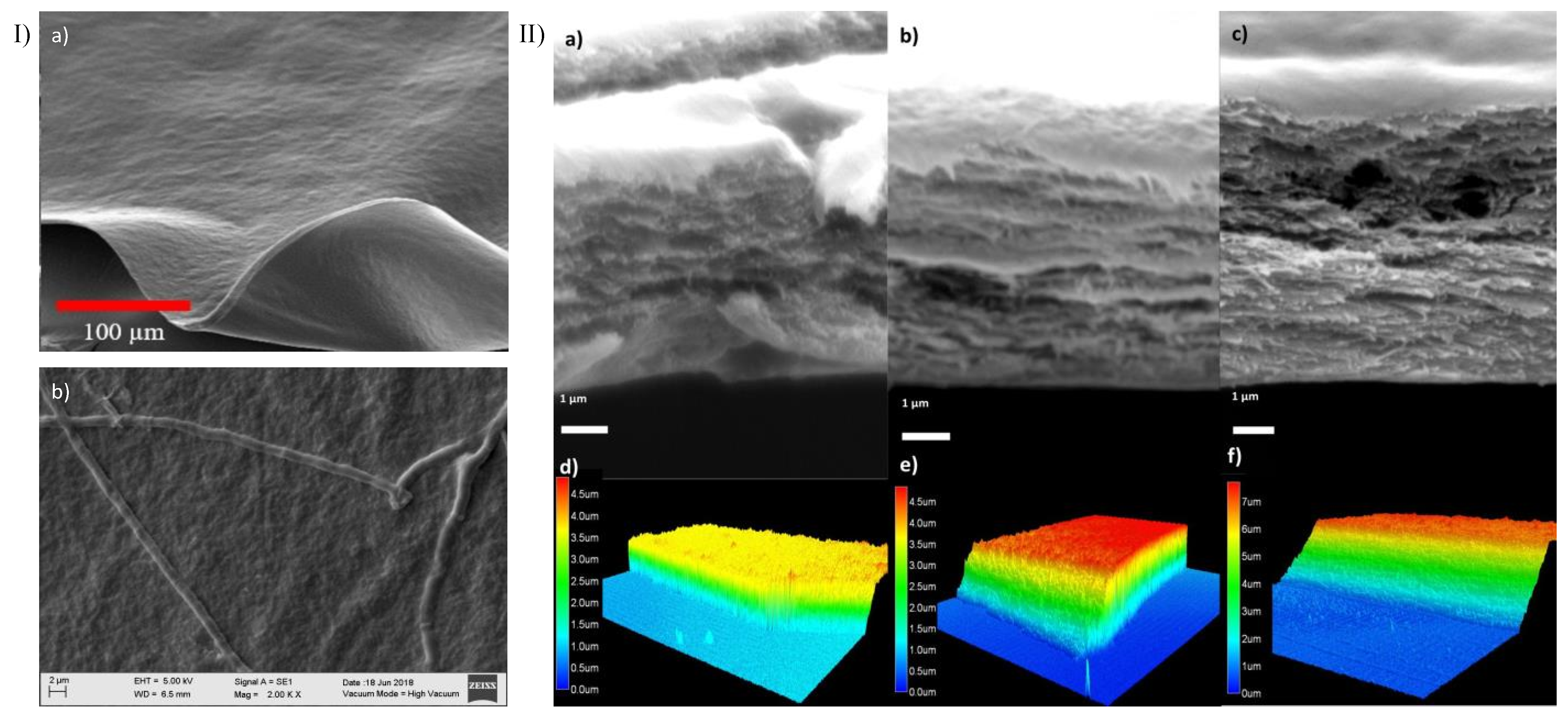 Polymers 14 03556 g004