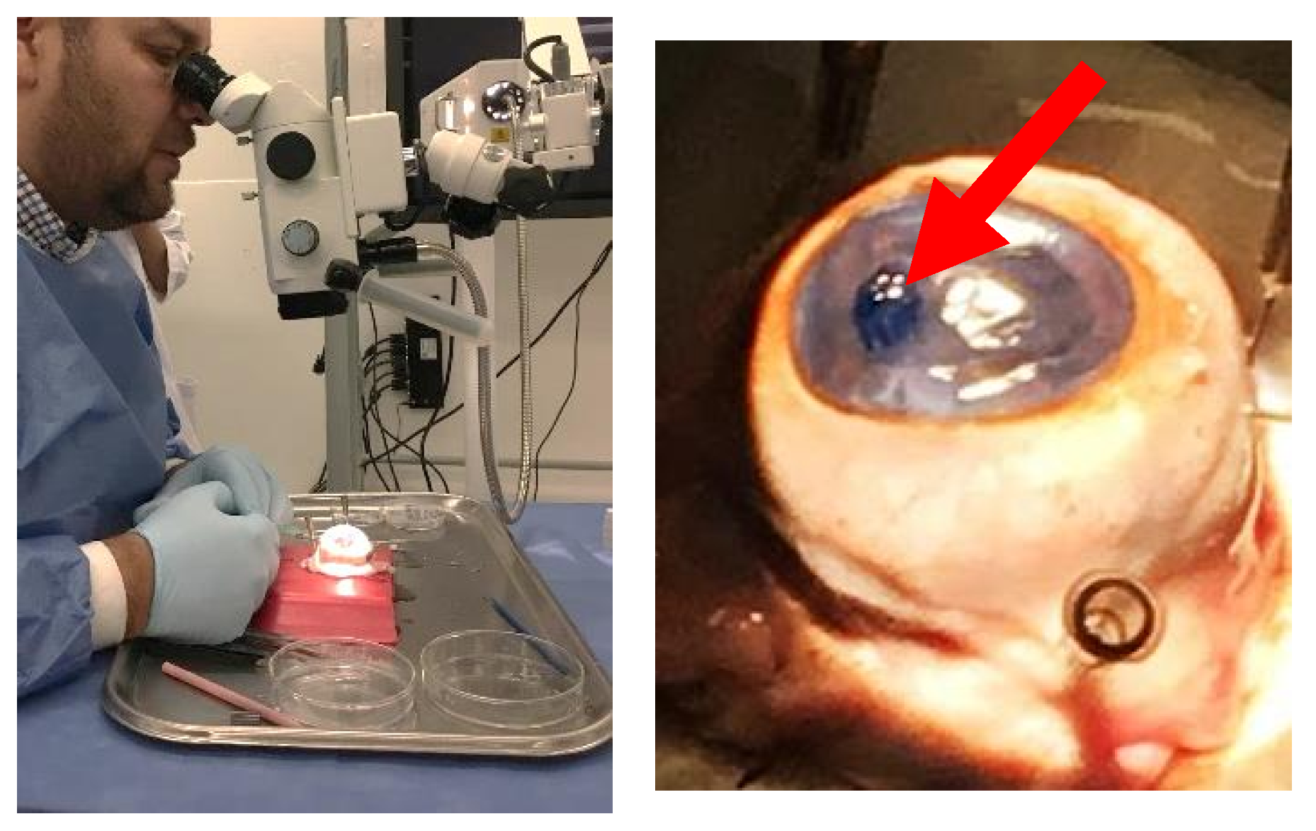 Polymers 14 03556 g006