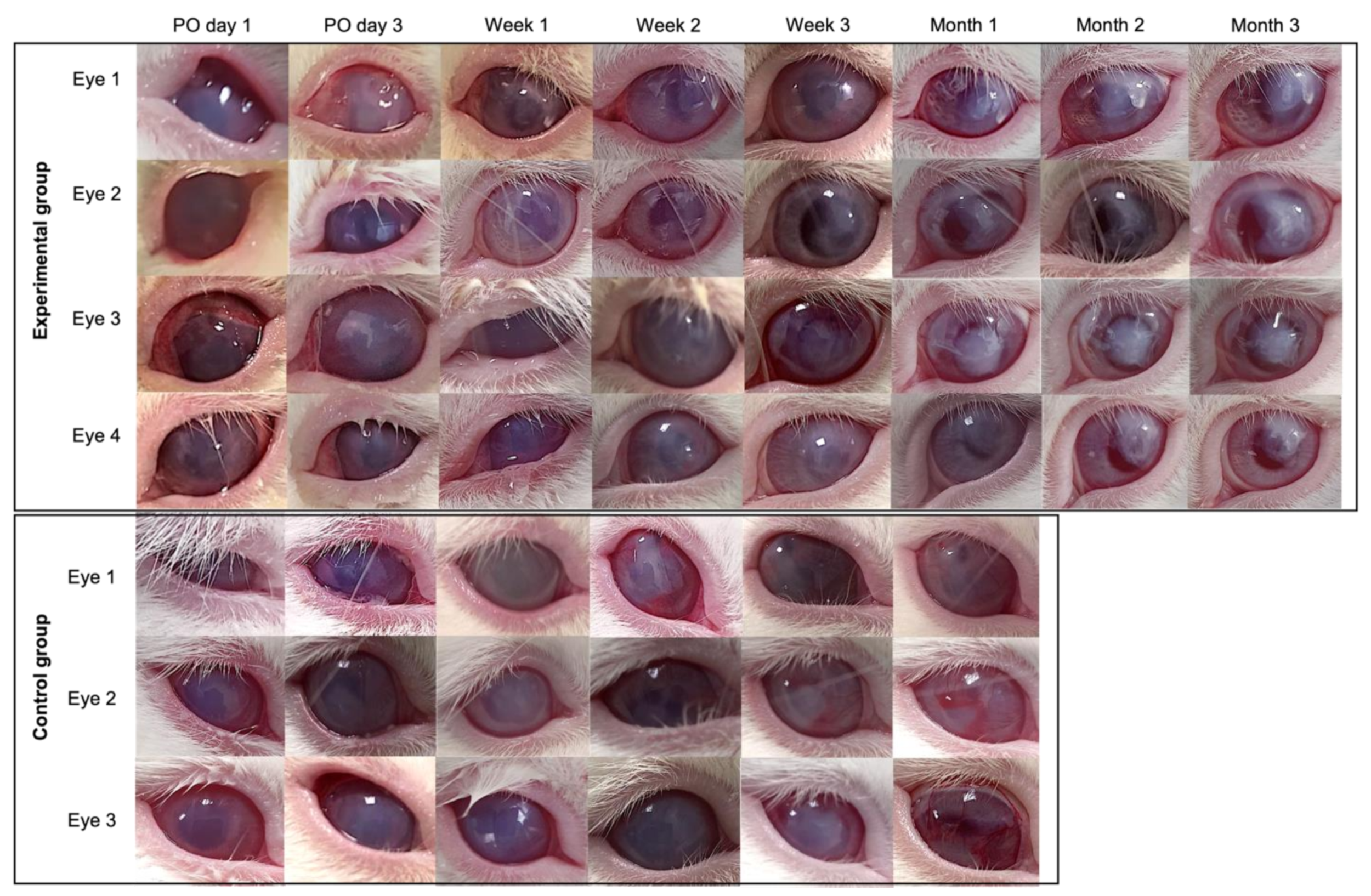 Polymers 14 03556 g008
